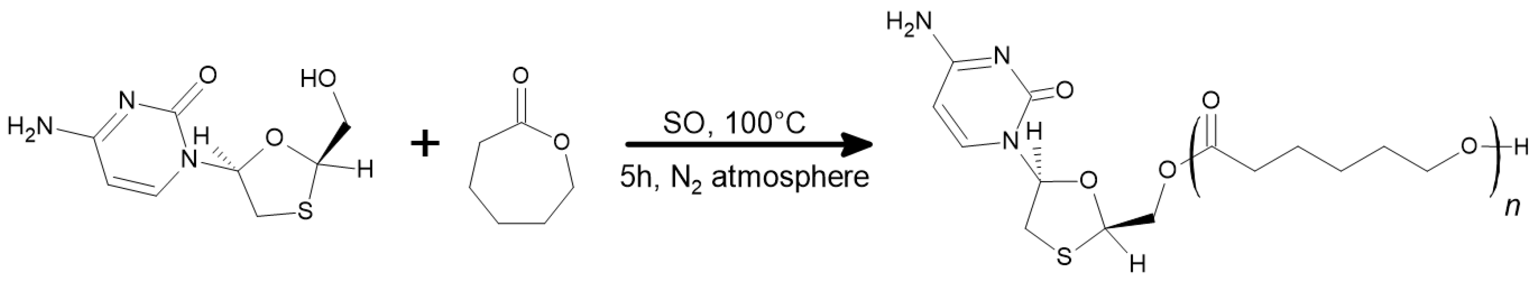 Ijms 25 12921 g002 Ijms 25 12921 g002