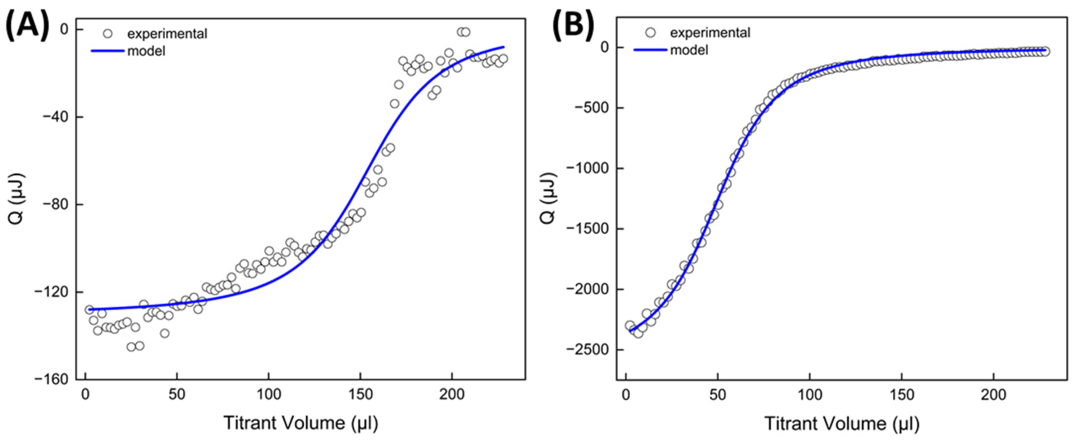 Ijms 25 12921 g005 Ijms 25 12921 g005