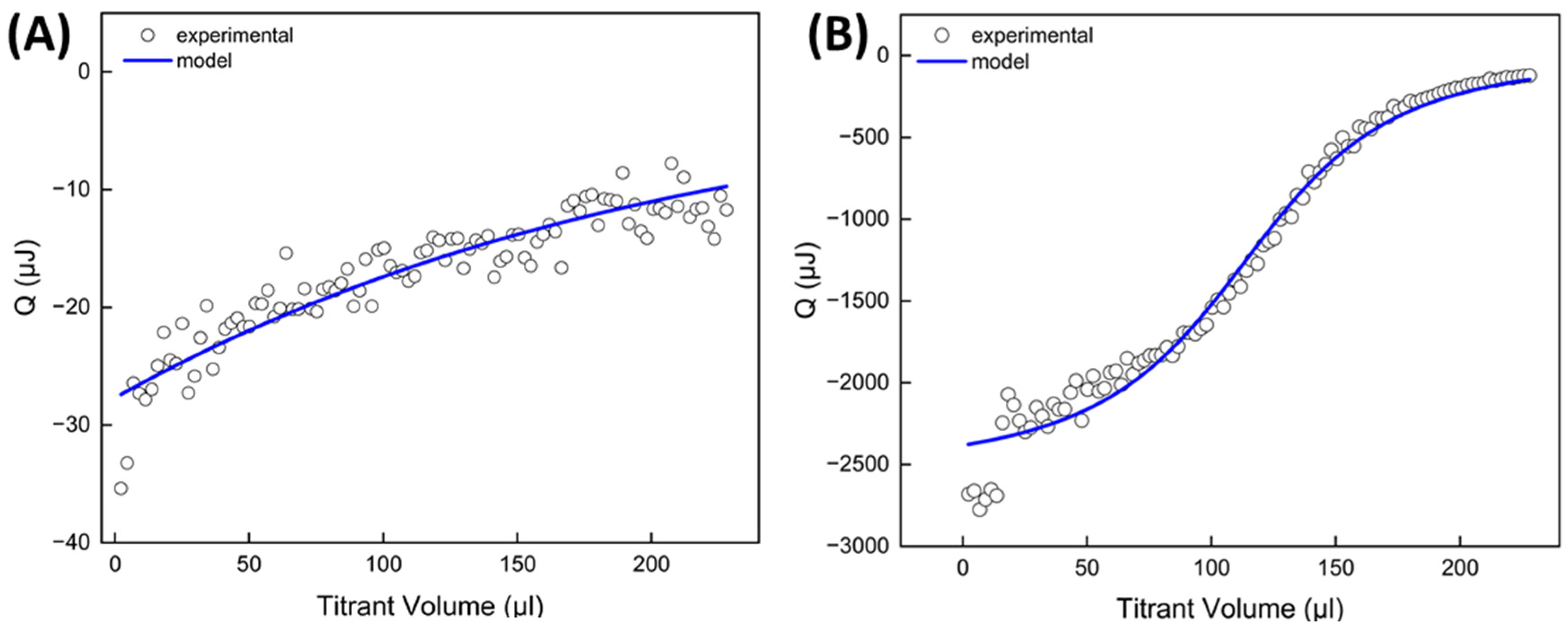 Ijms 25 12921 g006 Ijms 25 12921 g006