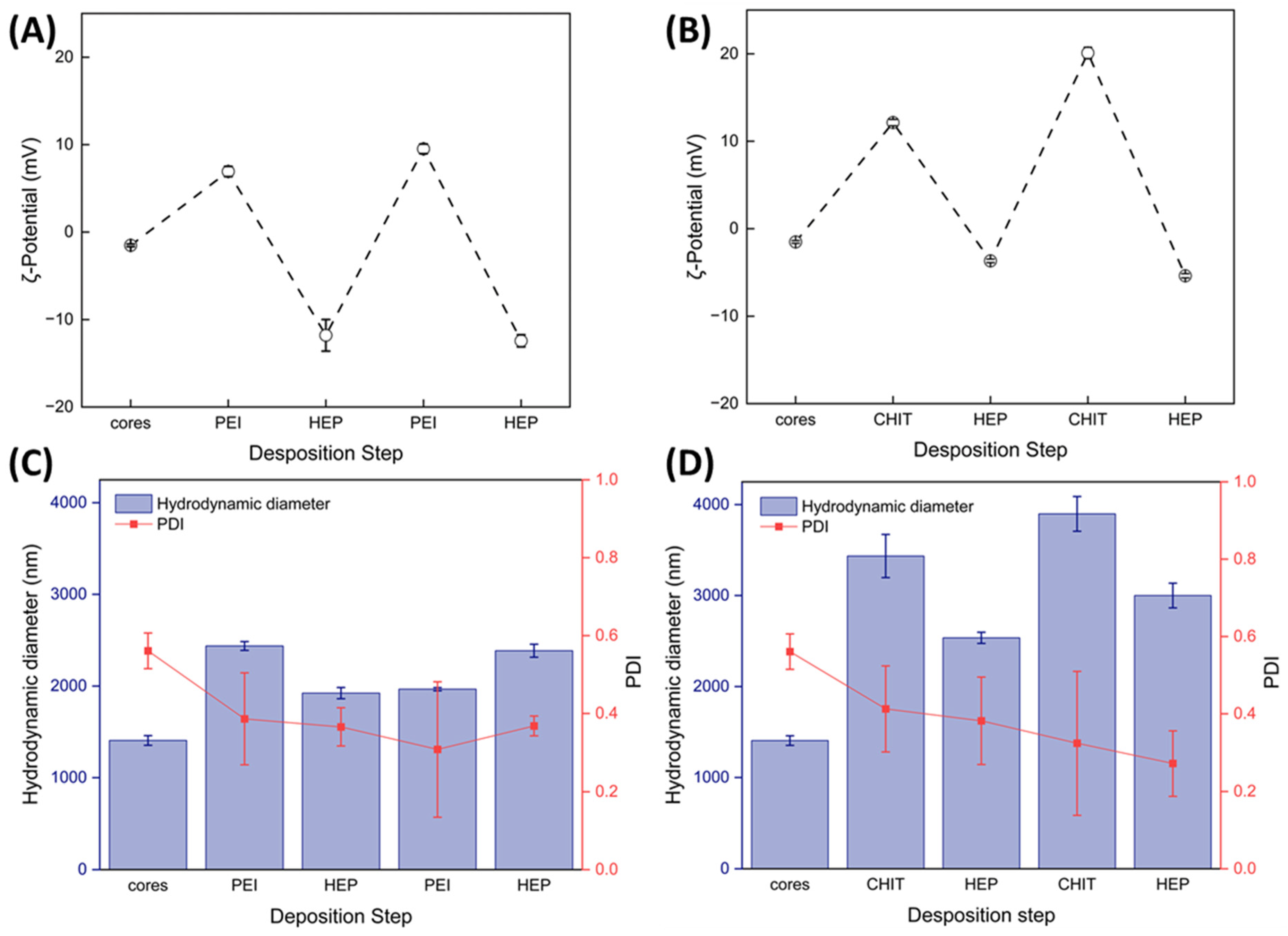 Ijms 25 12921 g007 Ijms 25 12921 g007