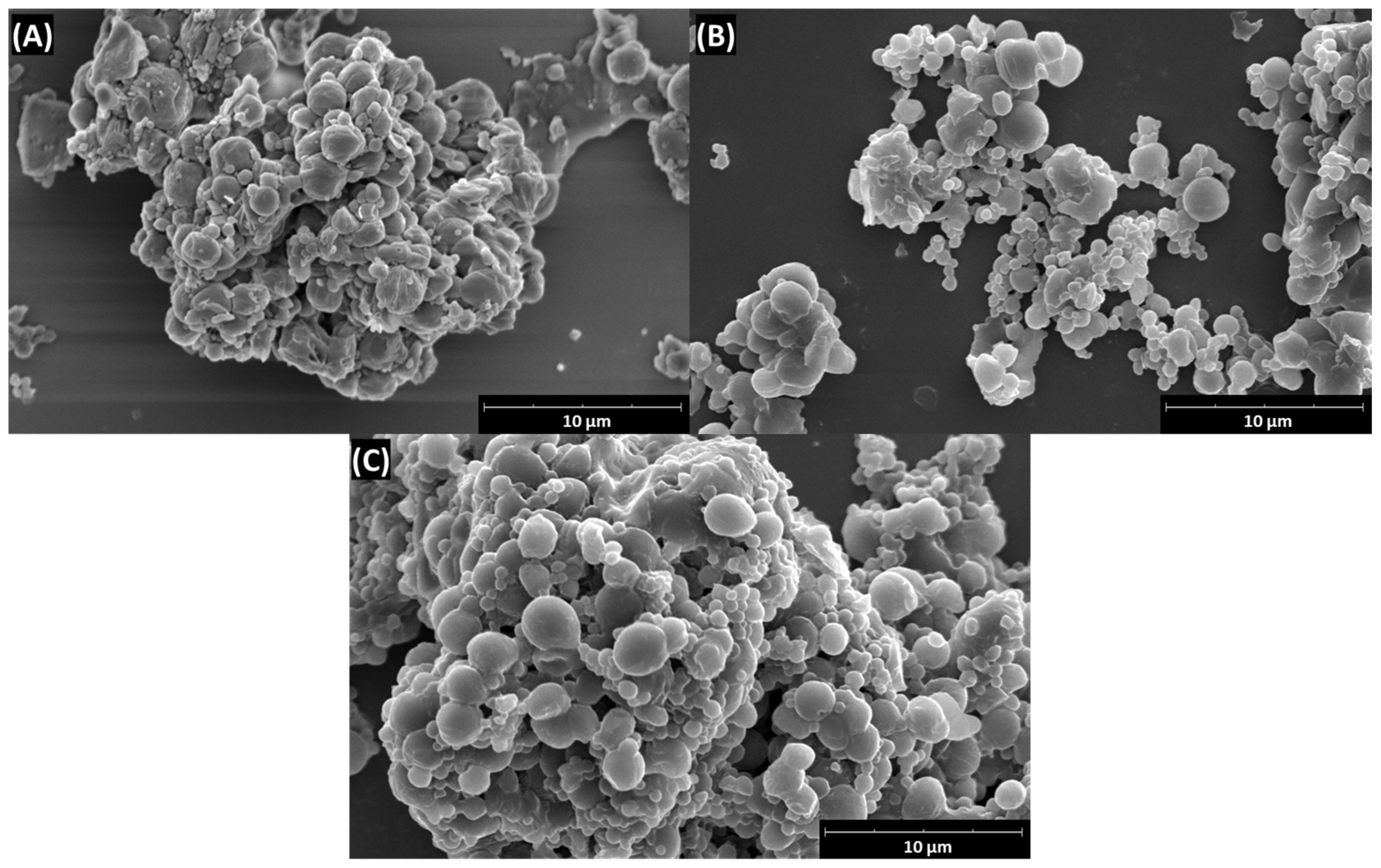 Ijms 25 12921 g008 Ijms 25 12921 g008