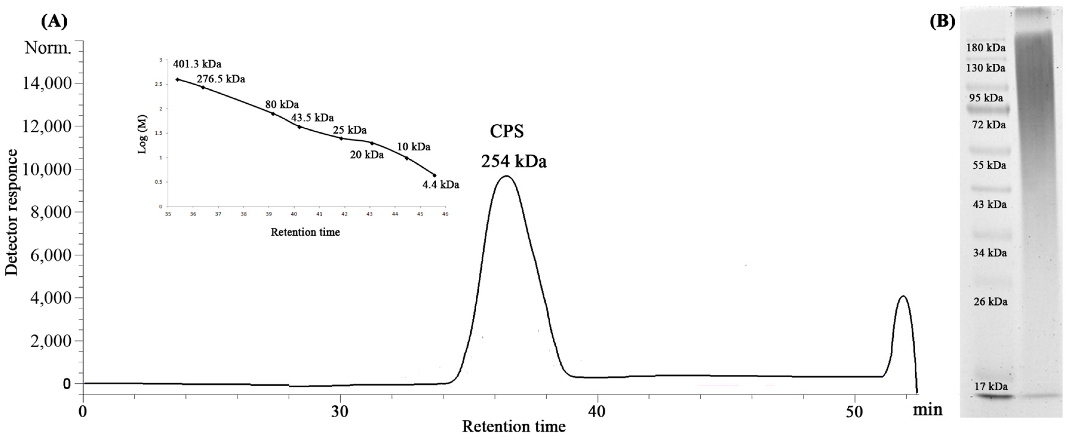 Ijms 25 12927 g001 Ijms 25 12927 g001