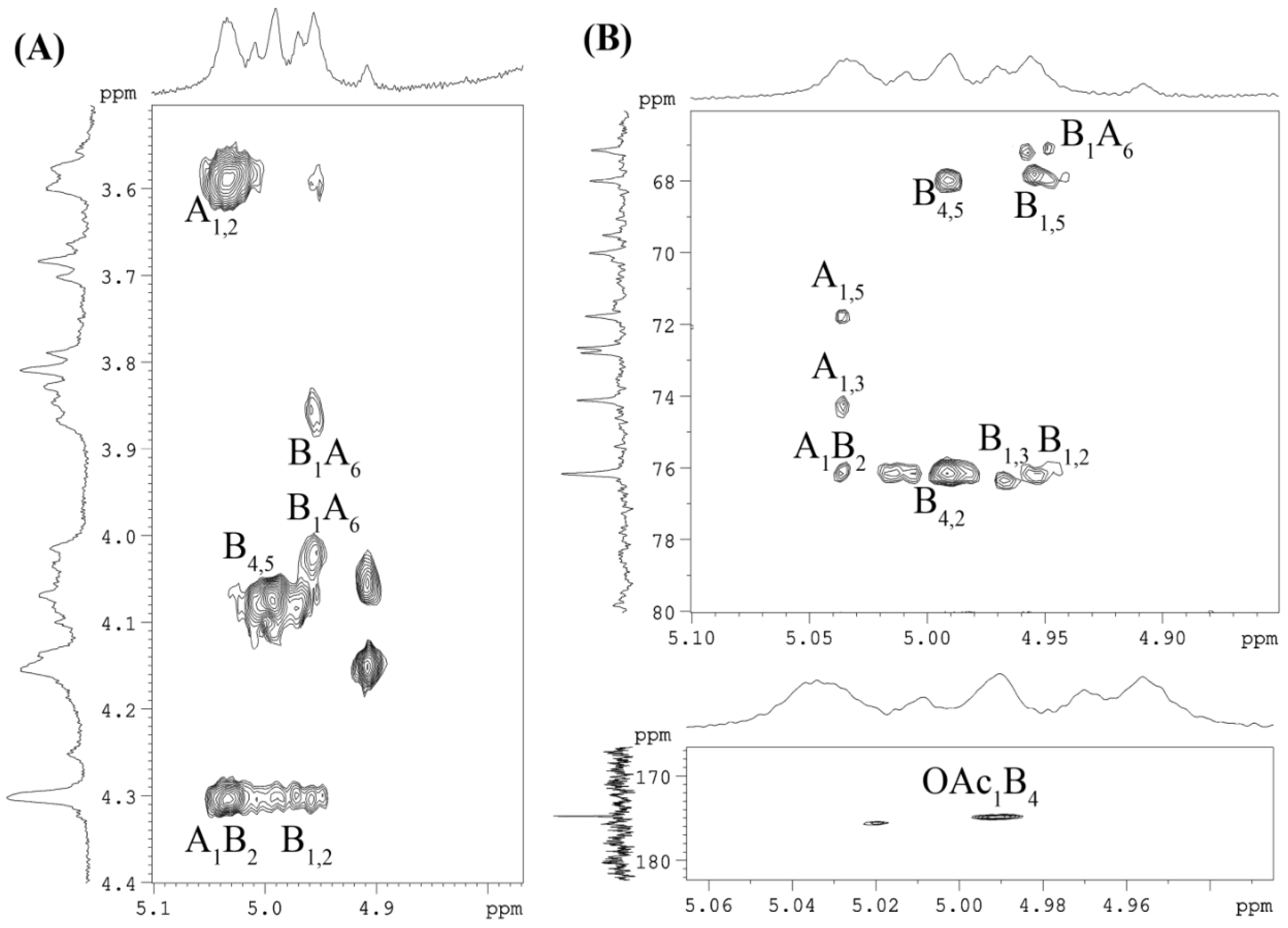 Ijms 25 12927 g004 Ijms 25 12927 g004