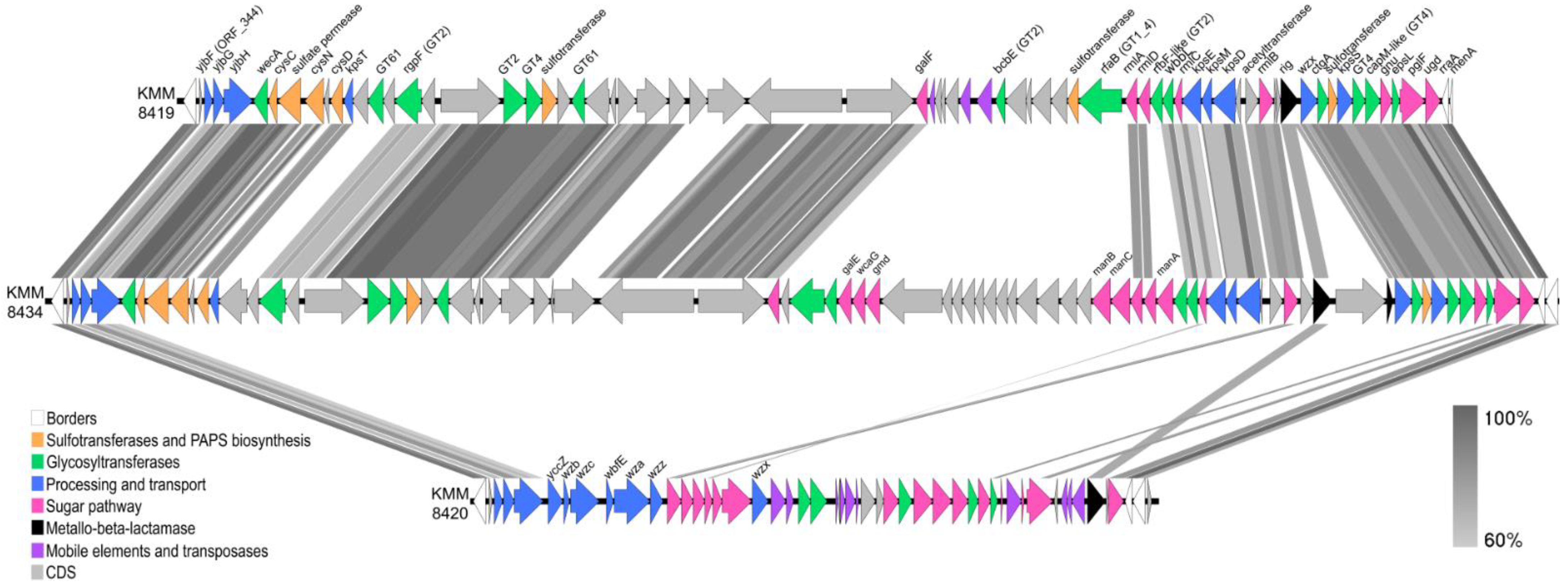 Ijms 25 12927 g007 Ijms 25 12927 g007