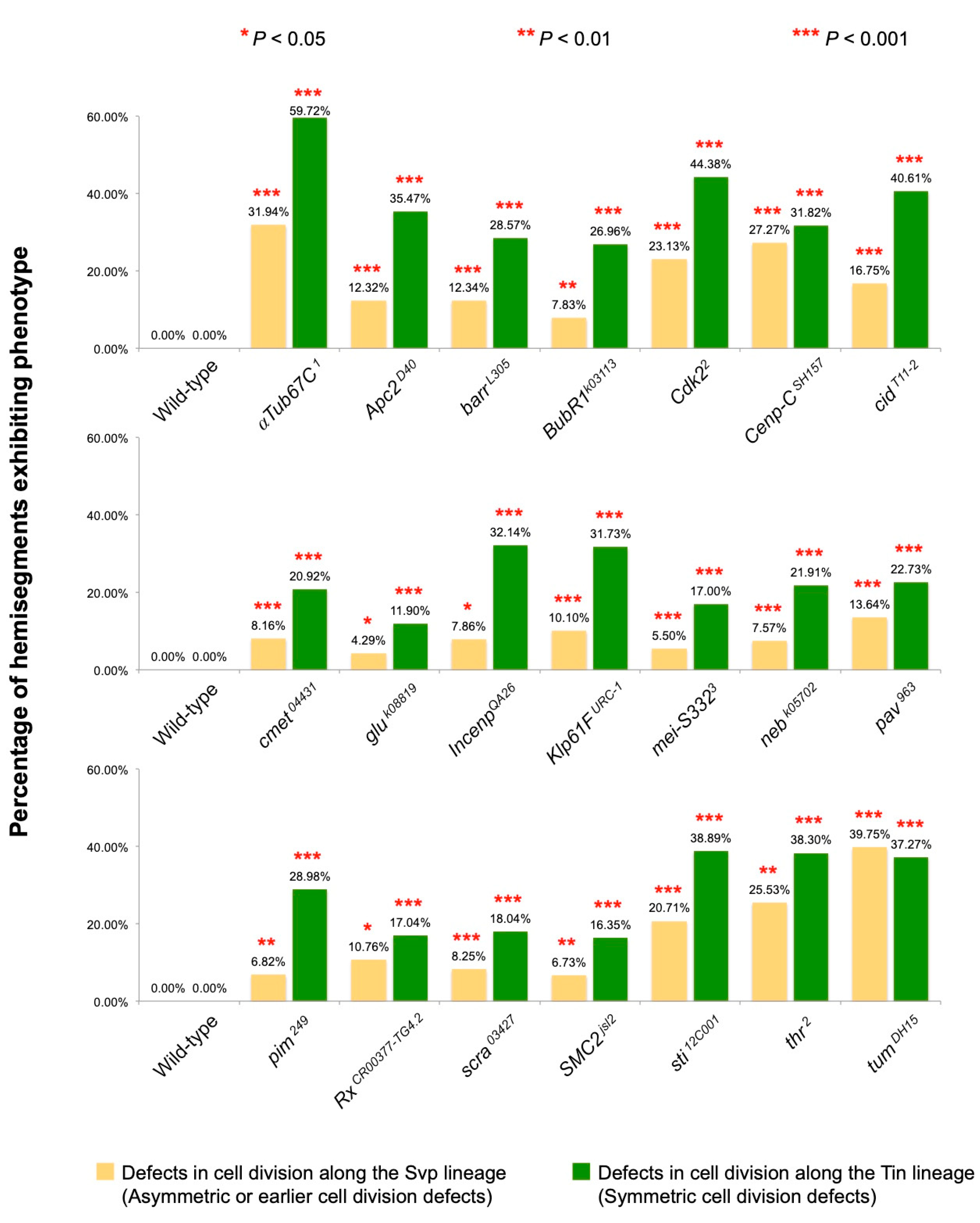 Ijms 25 12933 g003 Ijms 25 12933 g003