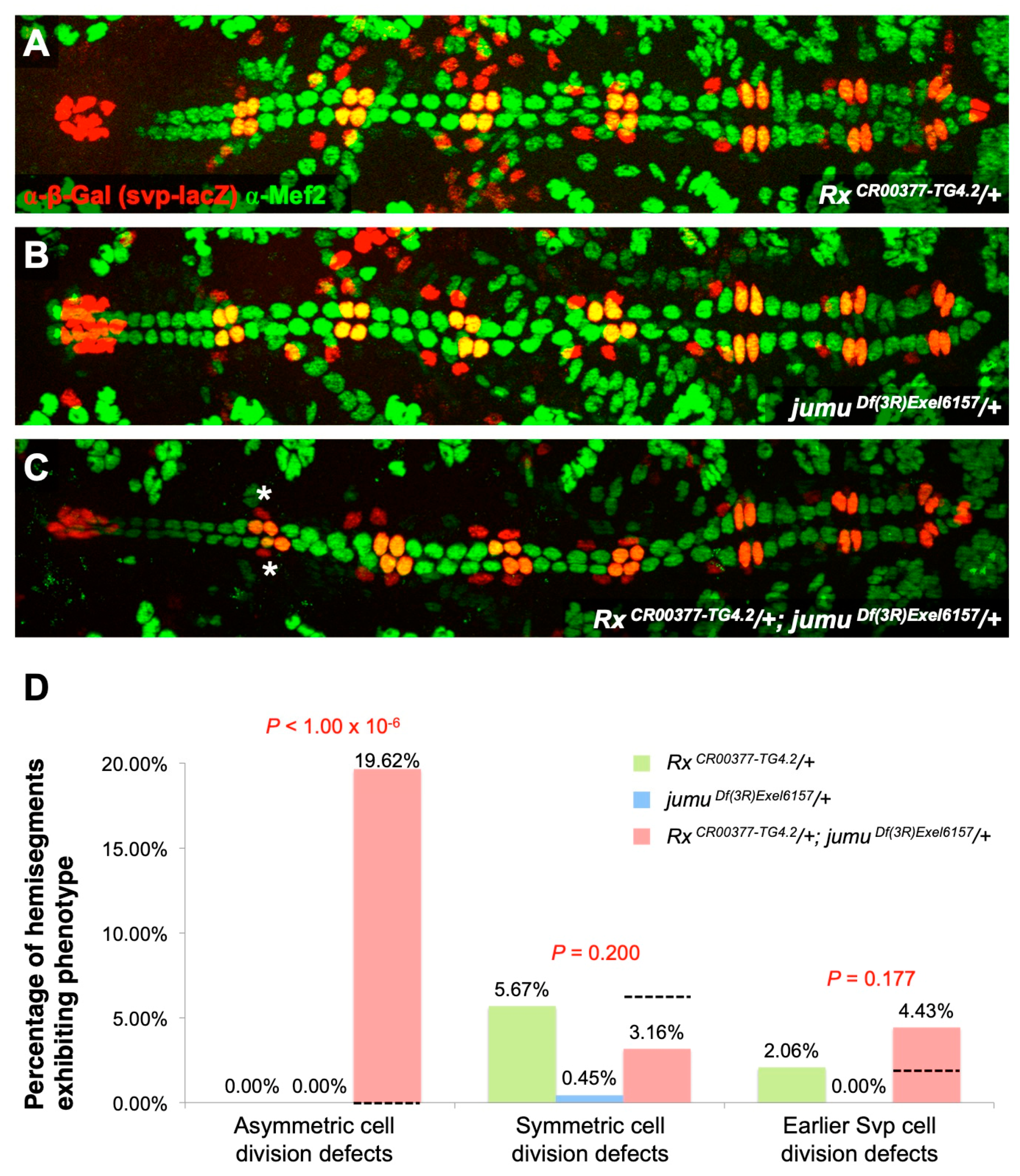 Ijms 25 12933 g005 Ijms 25 12933 g005