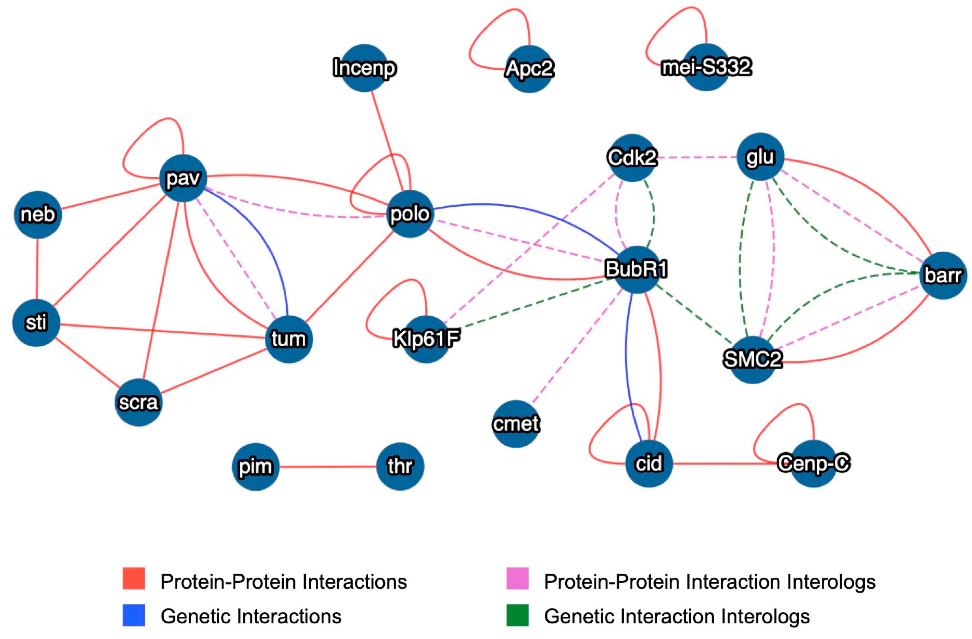 Ijms 25 12933 g006 Ijms 25 12933 g006