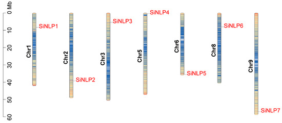 Genome-Wide Identification of NLP Gene Families and Haplotype