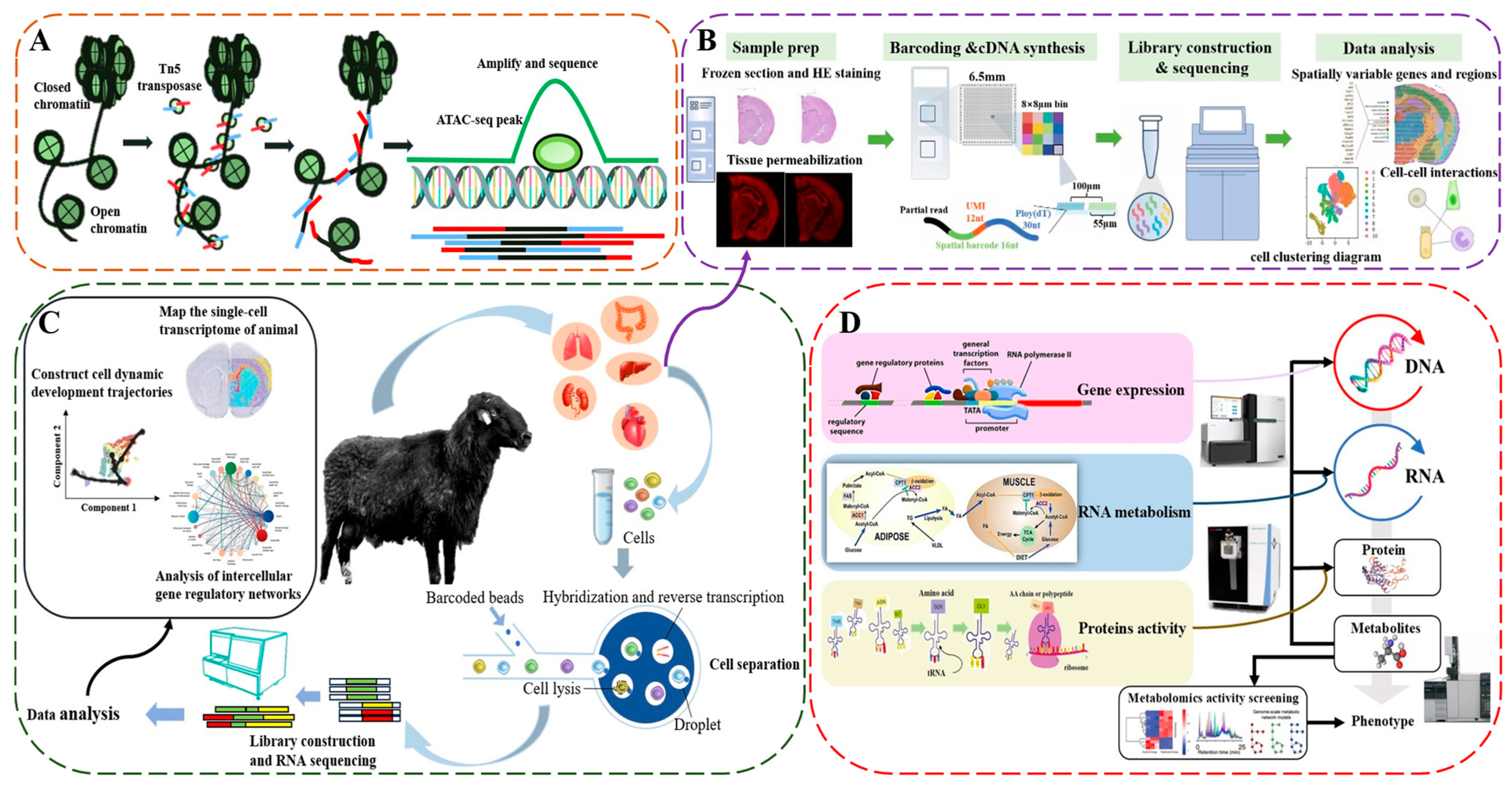 Ijms 25 12940 g002 Ijms 25 12940 g002