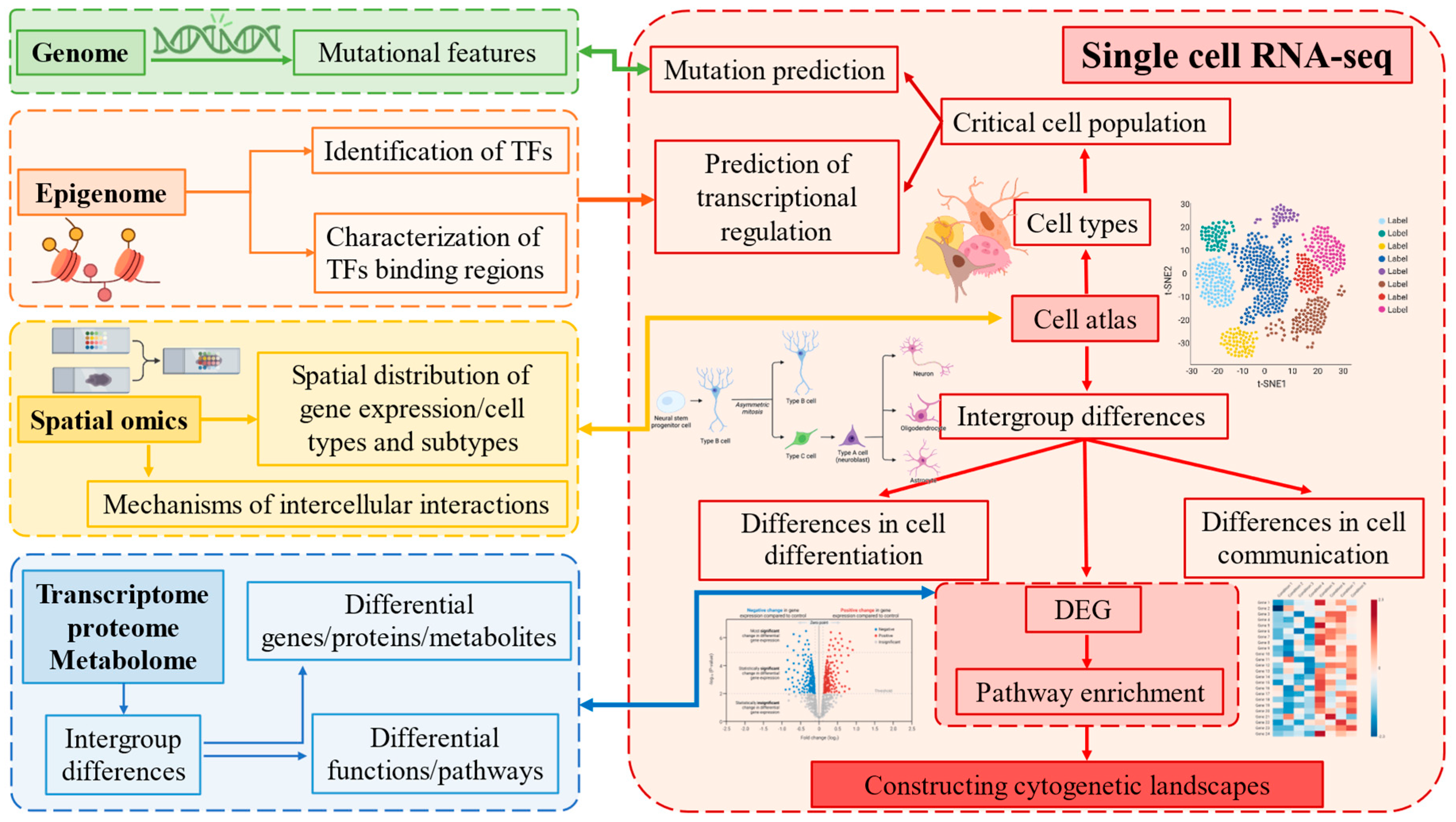 Ijms 25 12940 g003 Ijms 25 12940 g003