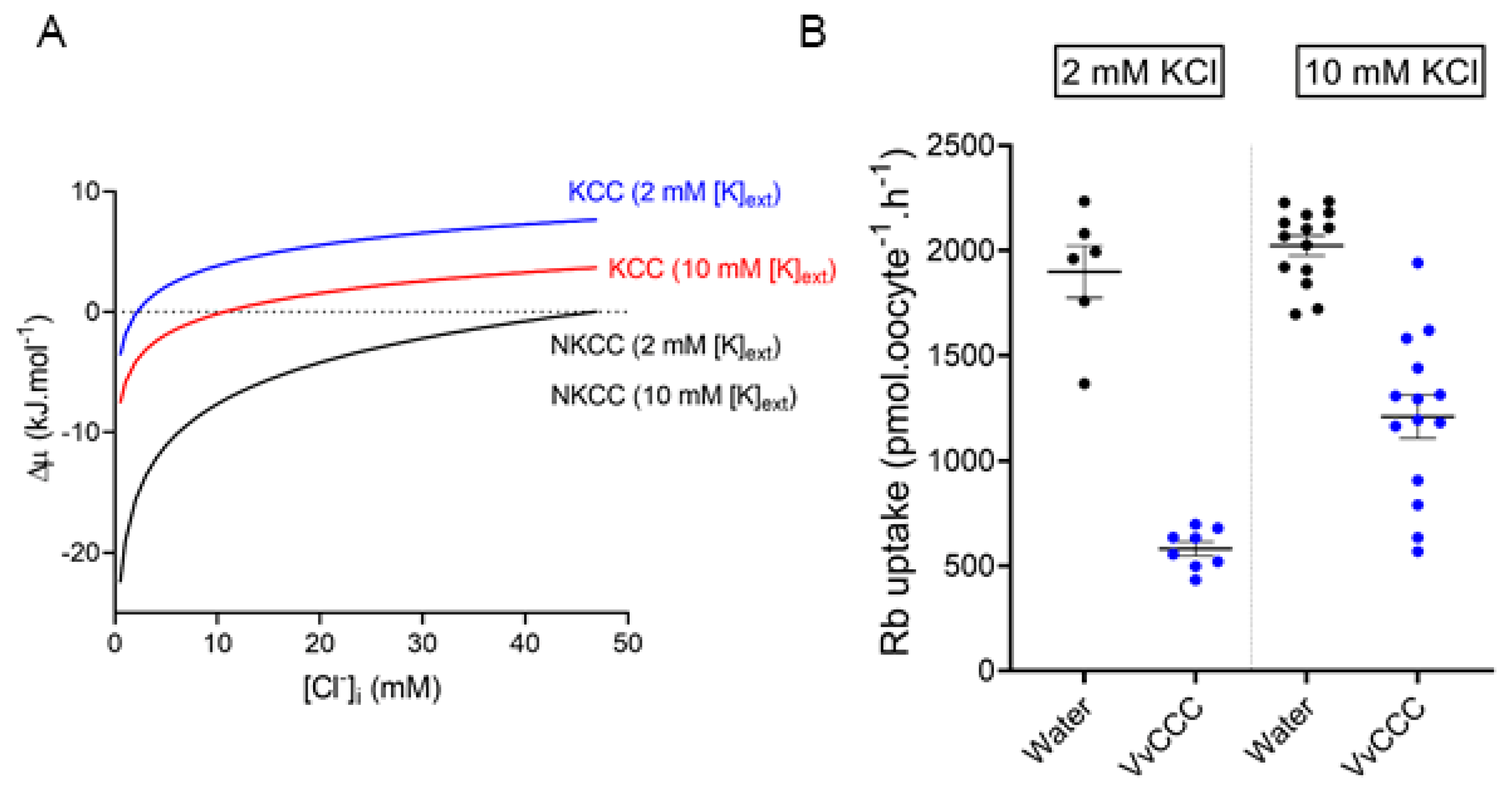 Ijms 25 12955 g007 Ijms 25 12955 g007
