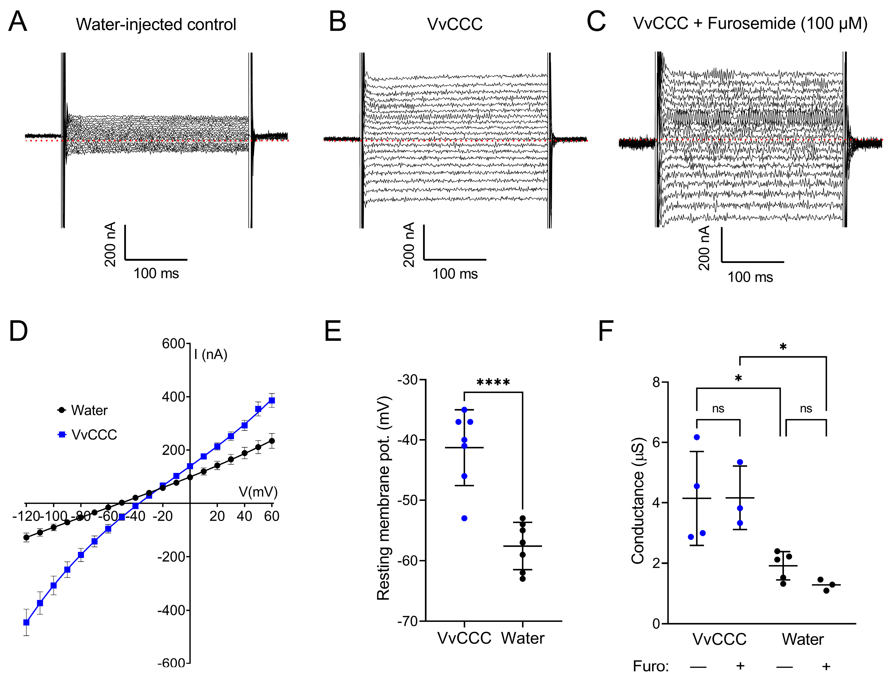 Ijms 25 12955 g008 Ijms 25 12955 g008