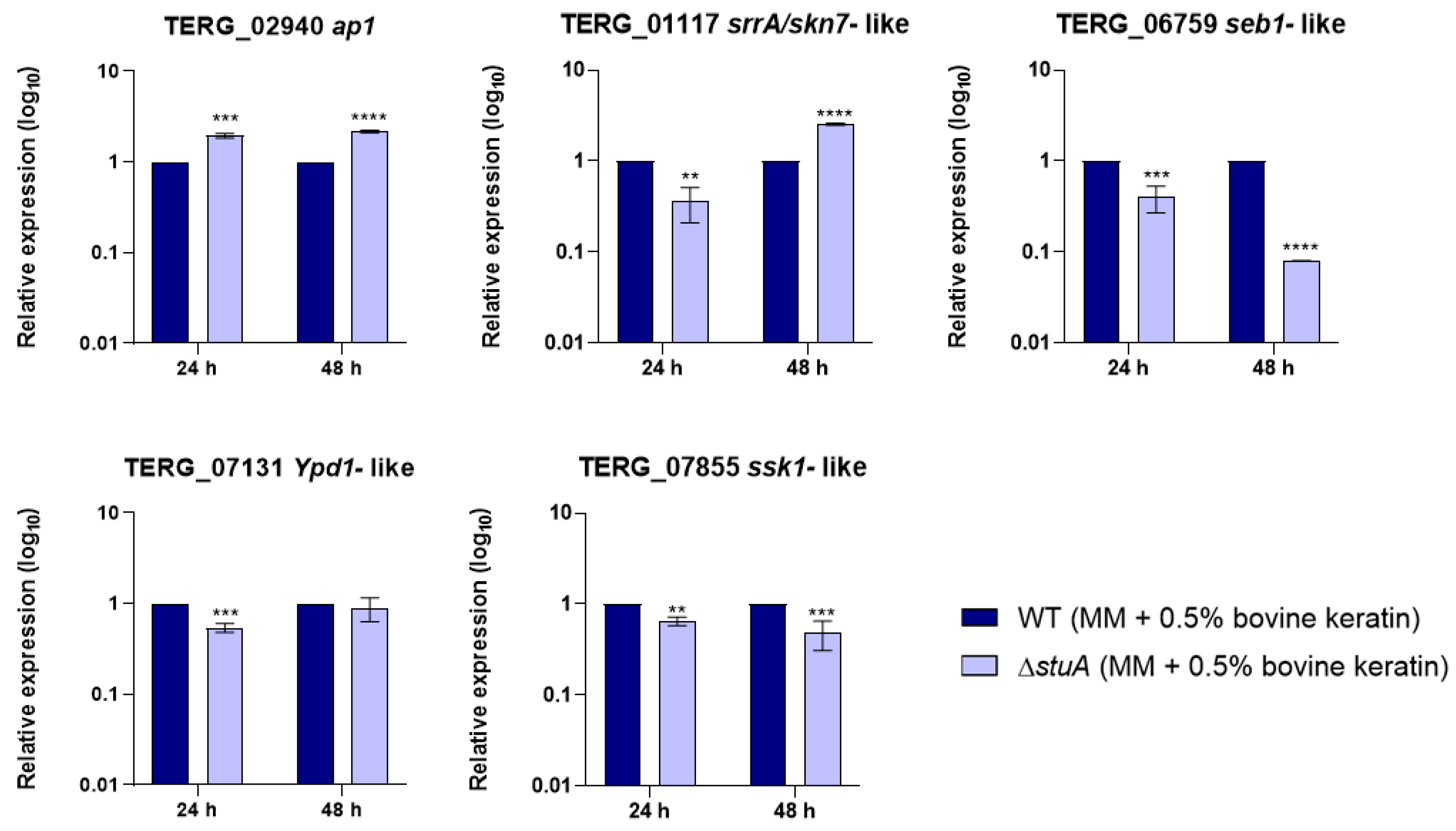 Ijms 25 12959 g001 Ijms 25 12959 g001