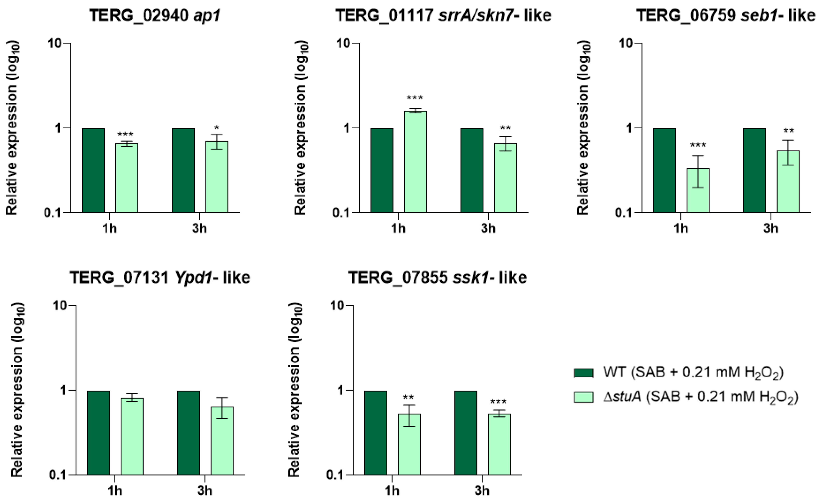 Ijms 25 12959 g002 Ijms 25 12959 g002