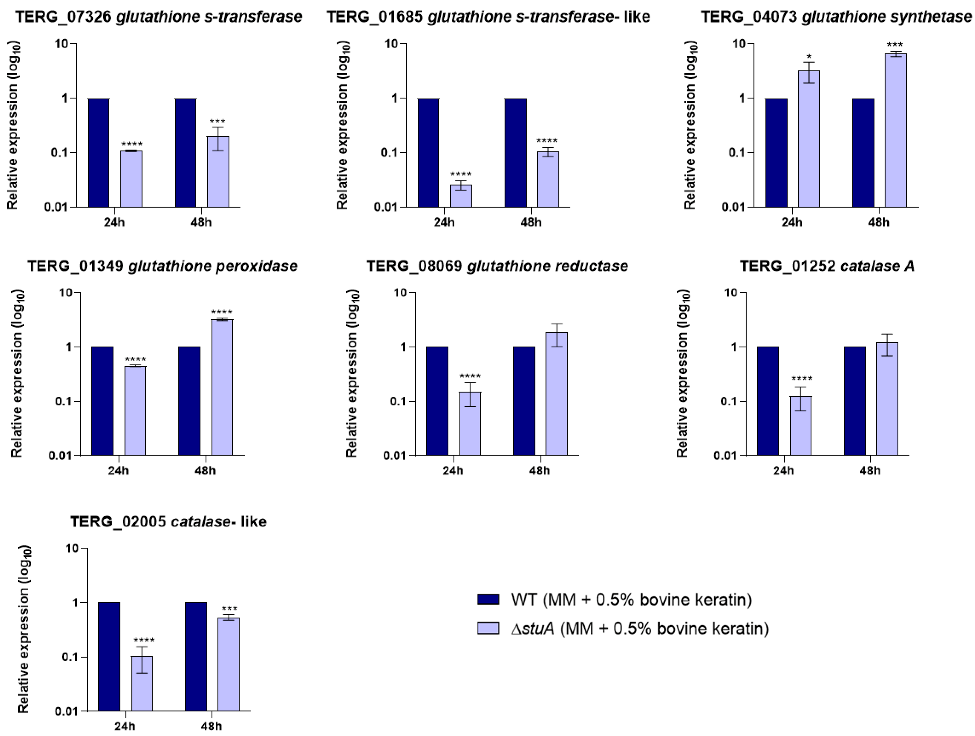 Ijms 25 12959 g003 Ijms 25 12959 g003
