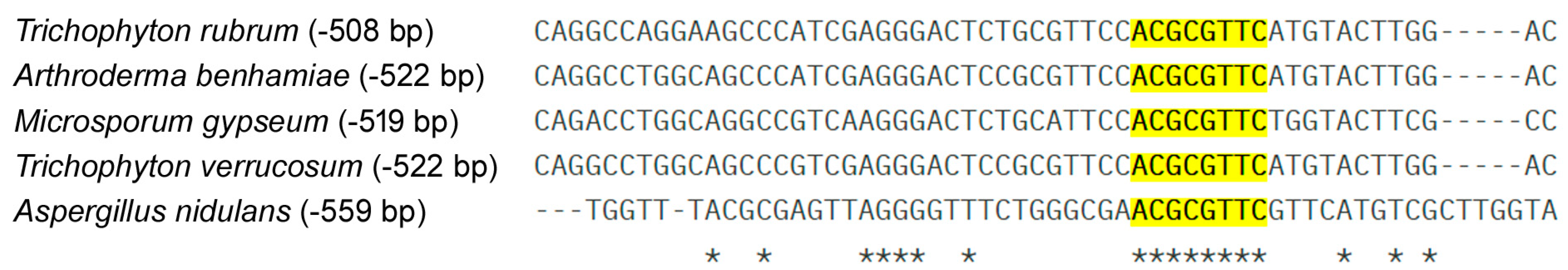 Ijms 25 12959 g005 Ijms 25 12959 g005