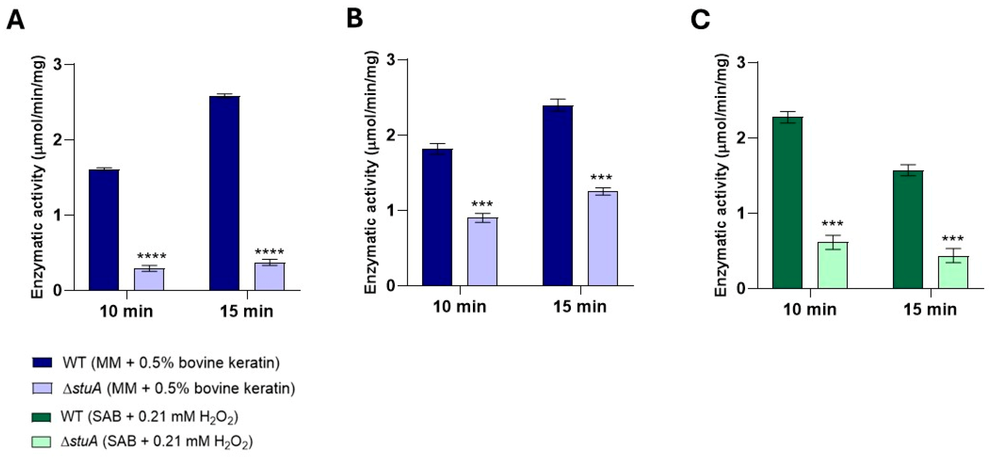 Ijms 25 12959 g006 Ijms 25 12959 g006