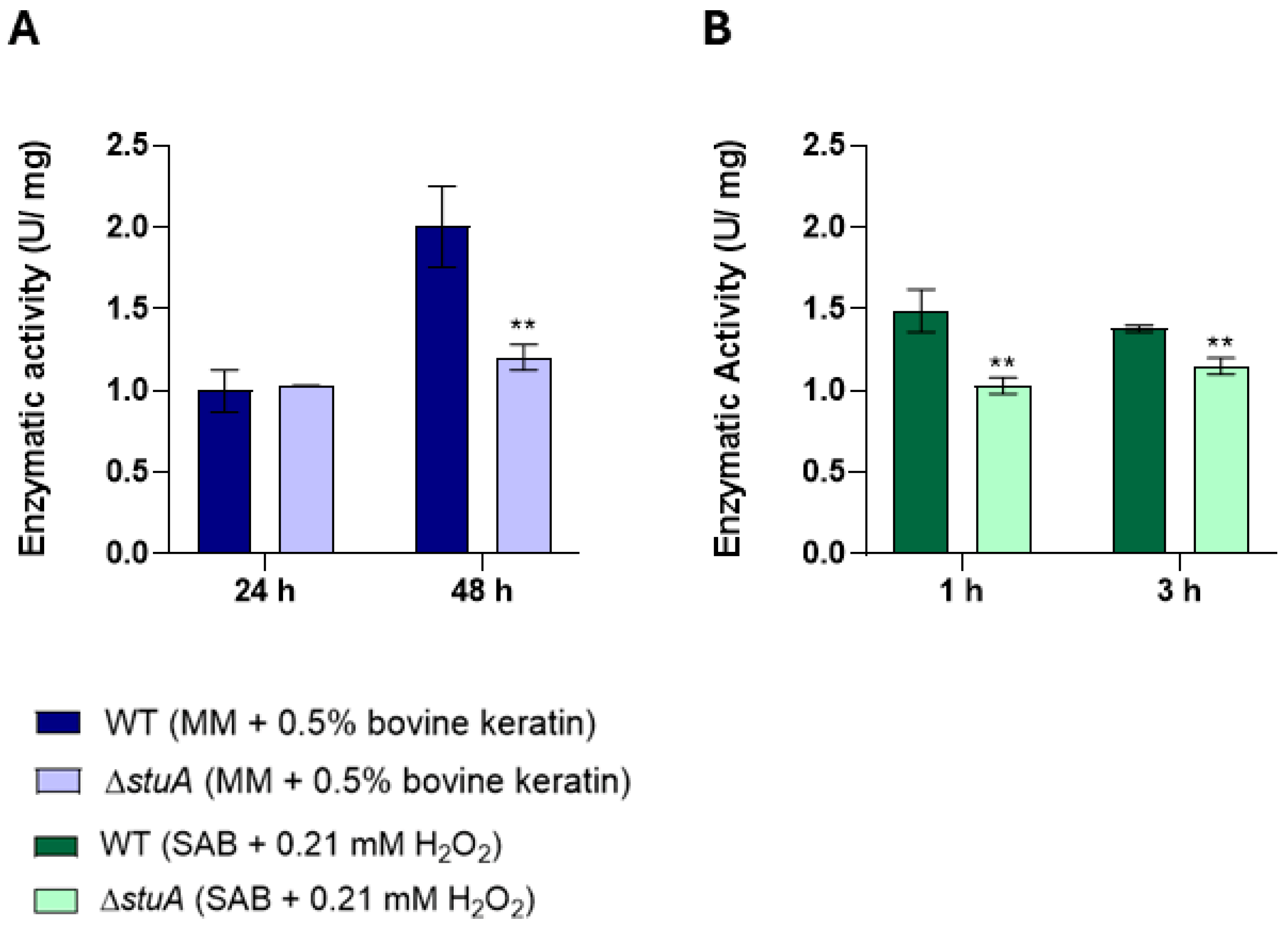 Ijms 25 12959 g007 Ijms 25 12959 g007