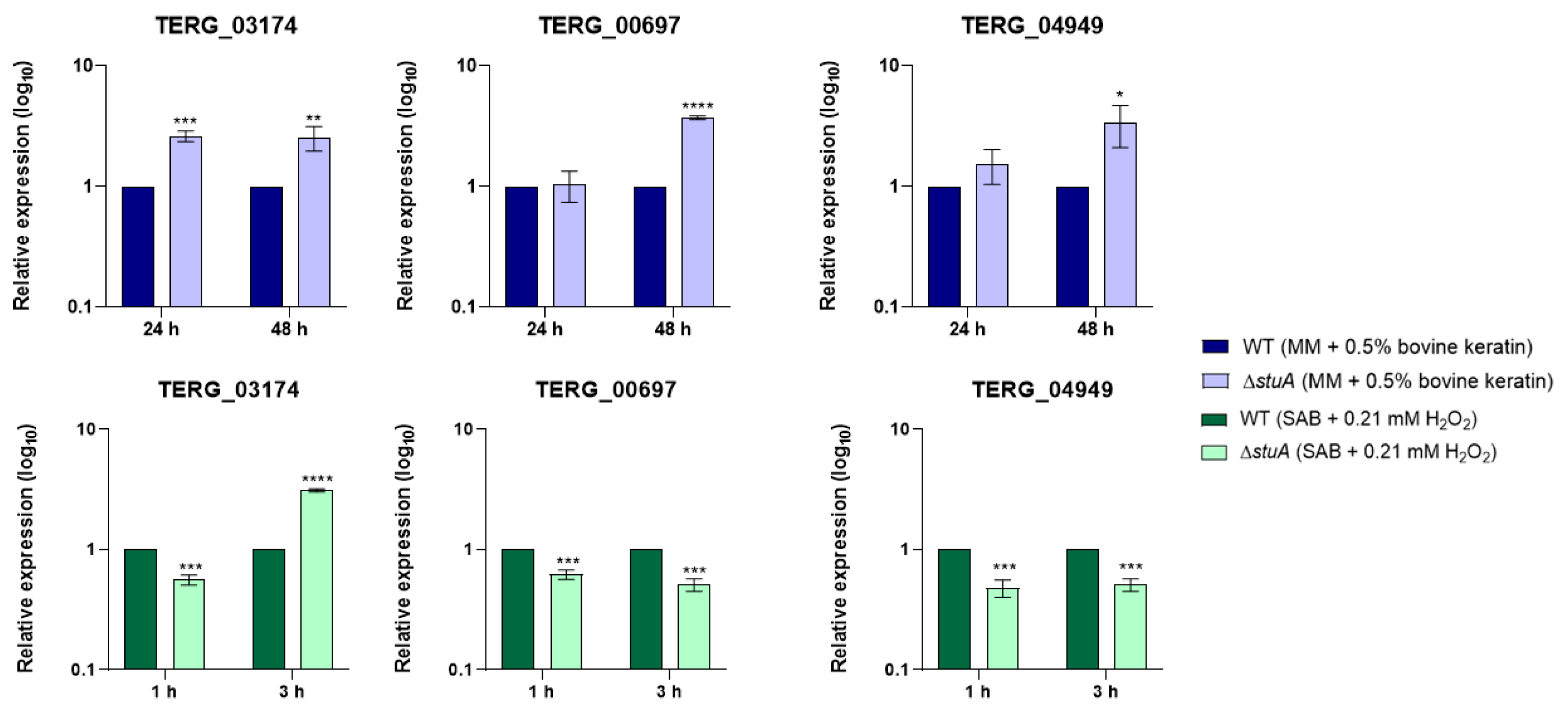 Ijms 25 12959 g008 Ijms 25 12959 g008