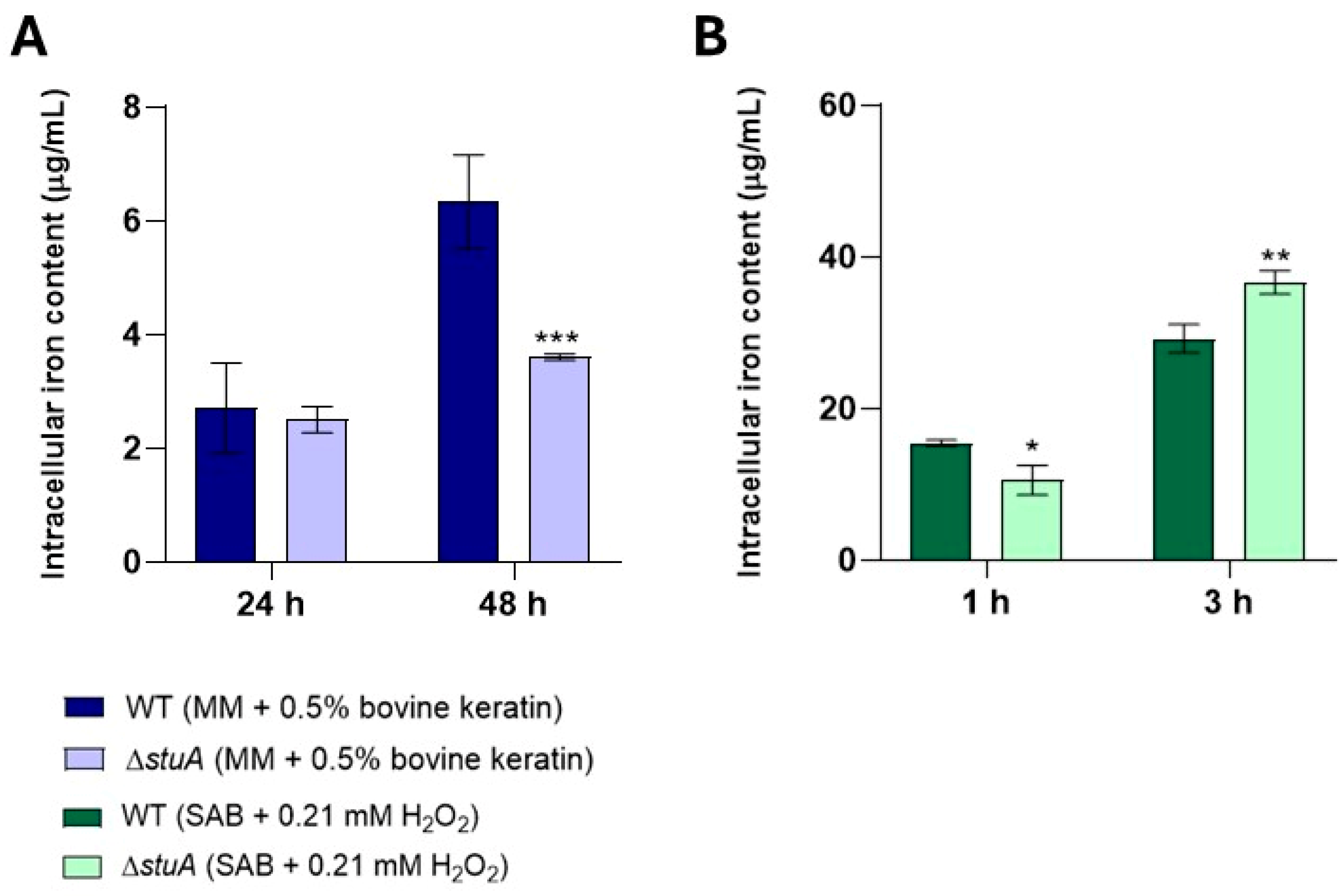 Ijms 25 12959 g009 Ijms 25 12959 g009