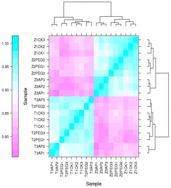 5-Aminolevulinic Acid (5-ALA)-Induced Drought Resistance in