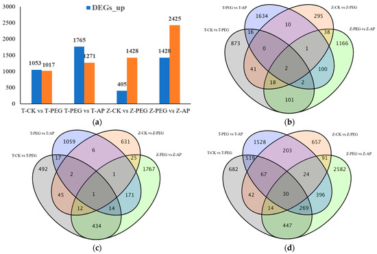 BE:FIRST
alienwareエイリアンウェア
ベアー
テディベア Hitachi ZX tracked excavator, used Hitachi ZX tracked