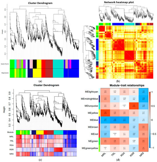 5-Aminolevulinic Acid (5-ALA)-Induced Drought Resistance in