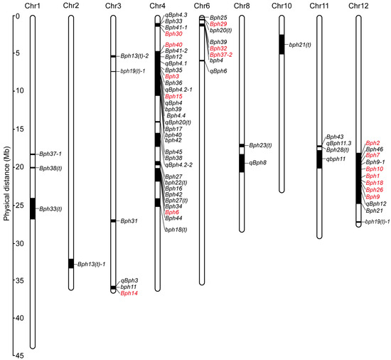  Recent Advances in Gene Mining and Hormonal Mechanism for