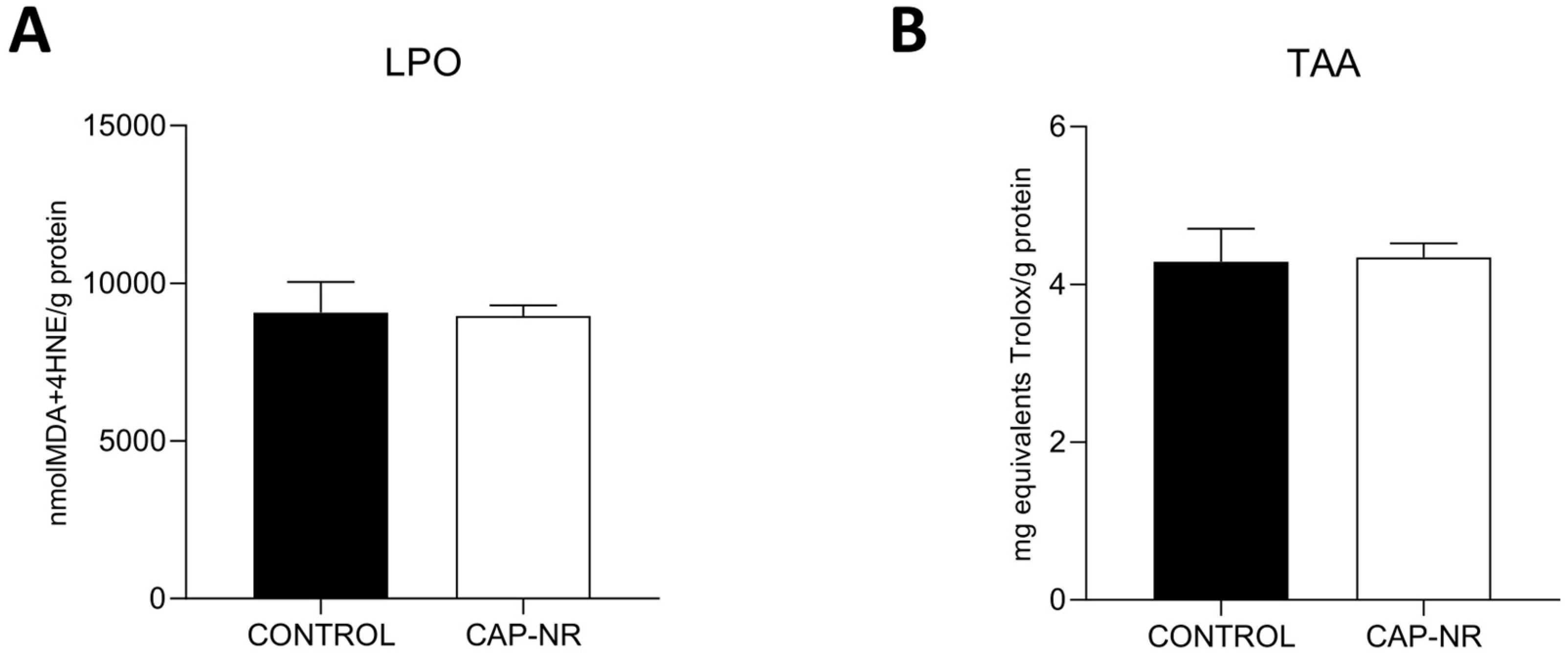 Ijms 25 12986 g001 Ijms 25 12986 g001
