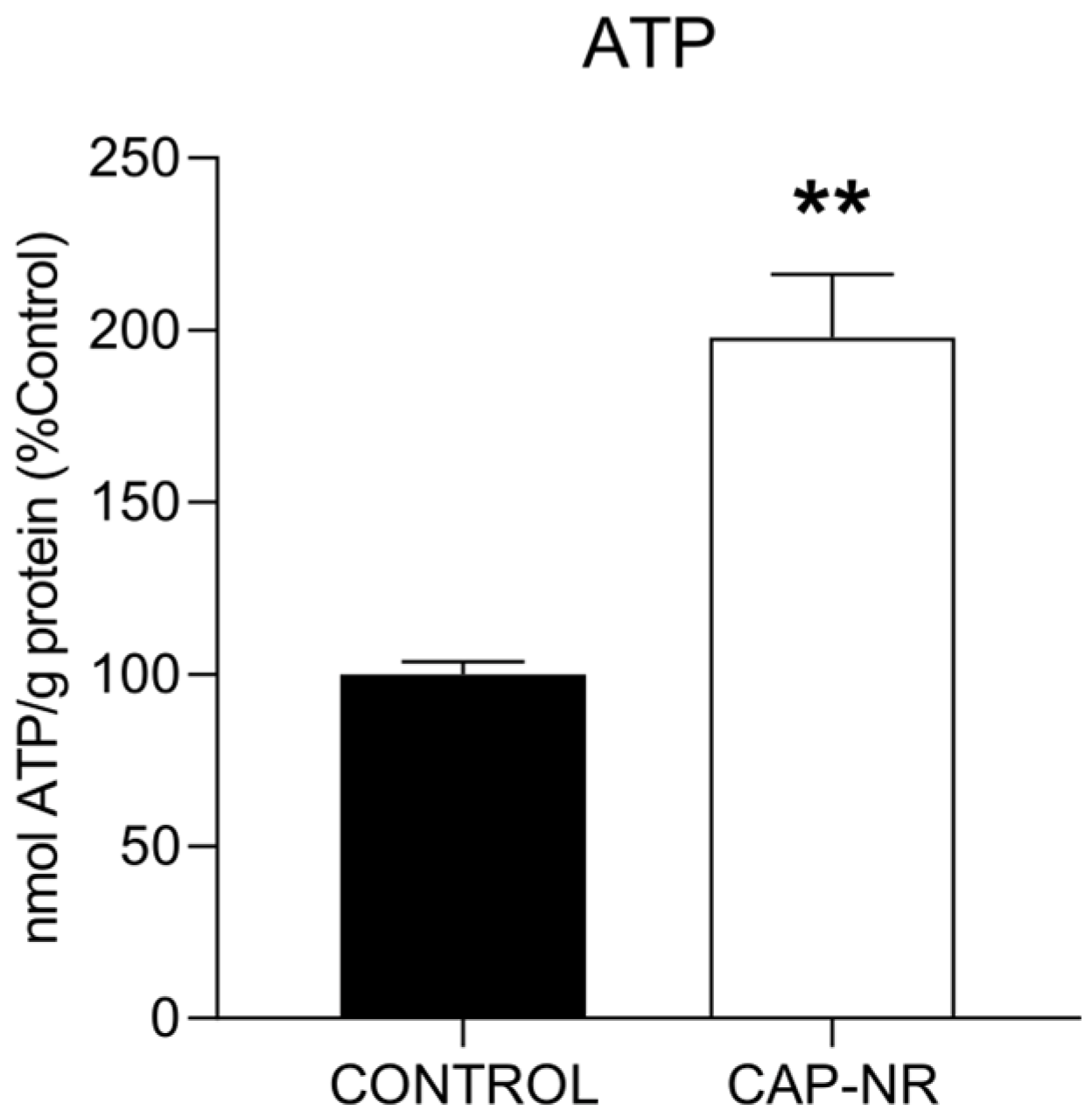 Ijms 25 12986 g003 Ijms 25 12986 g003