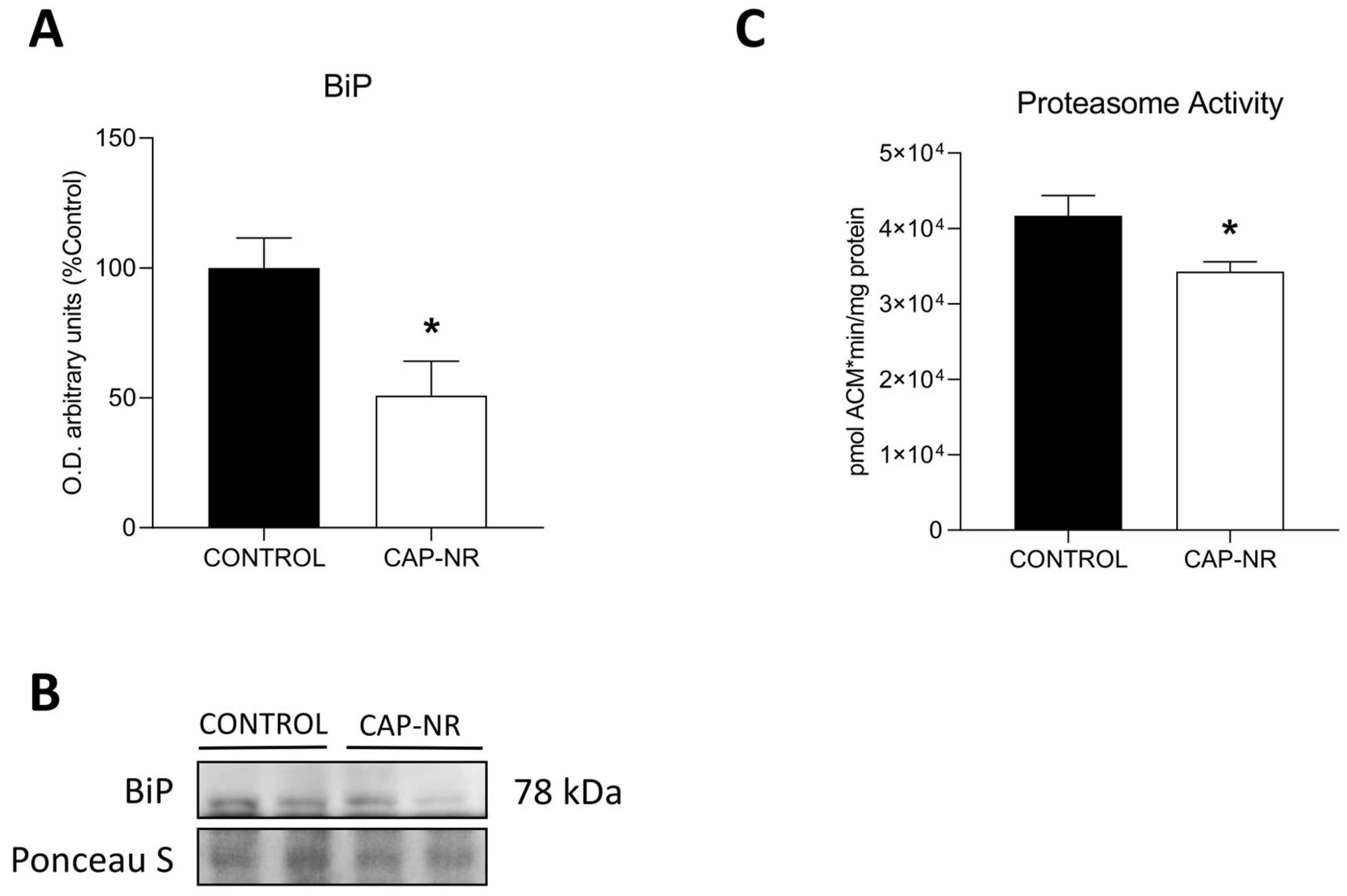 Ijms 25 12986 g004 Ijms 25 12986 g004