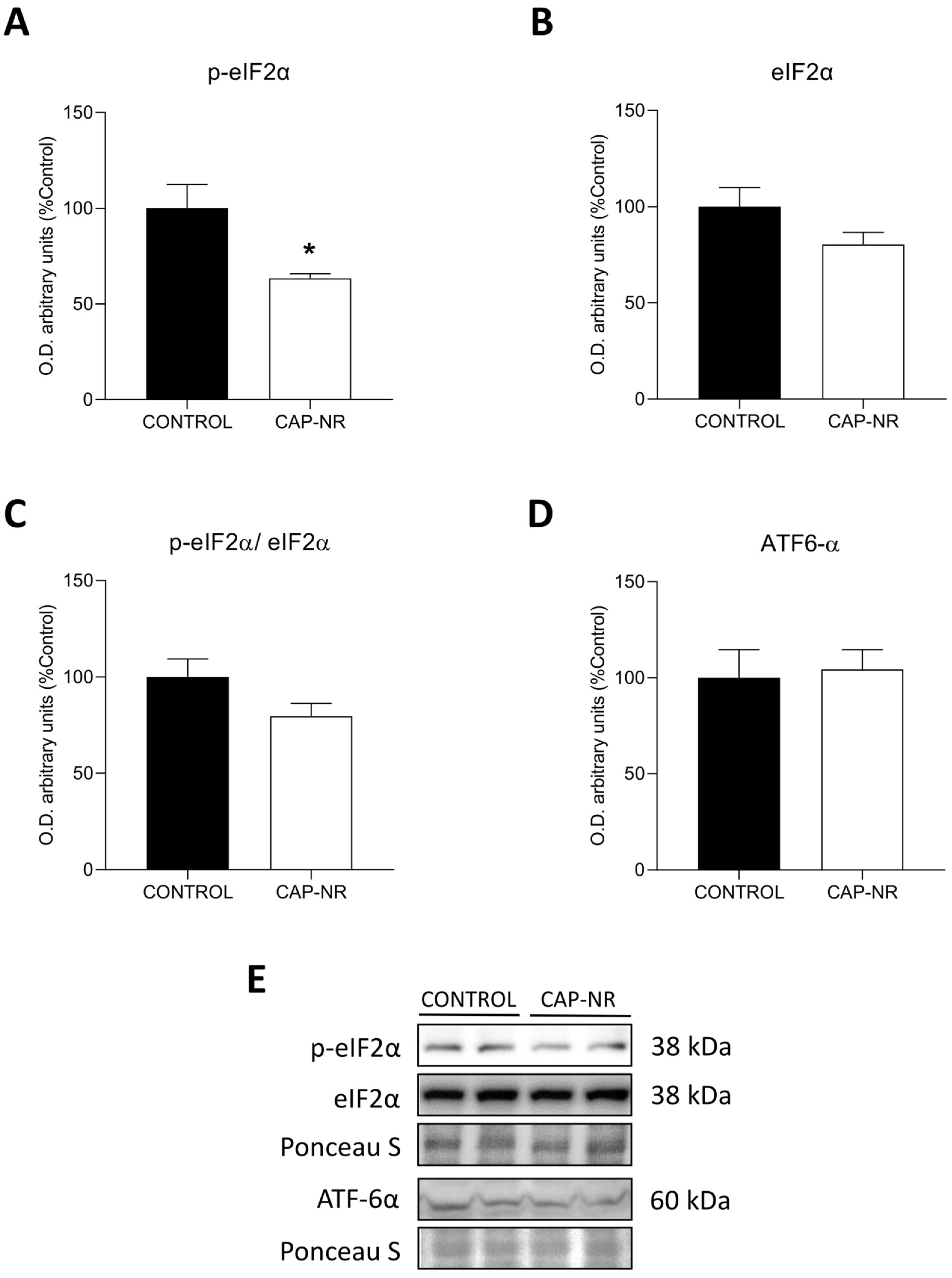Ijms 25 12986 g005 Ijms 25 12986 g005