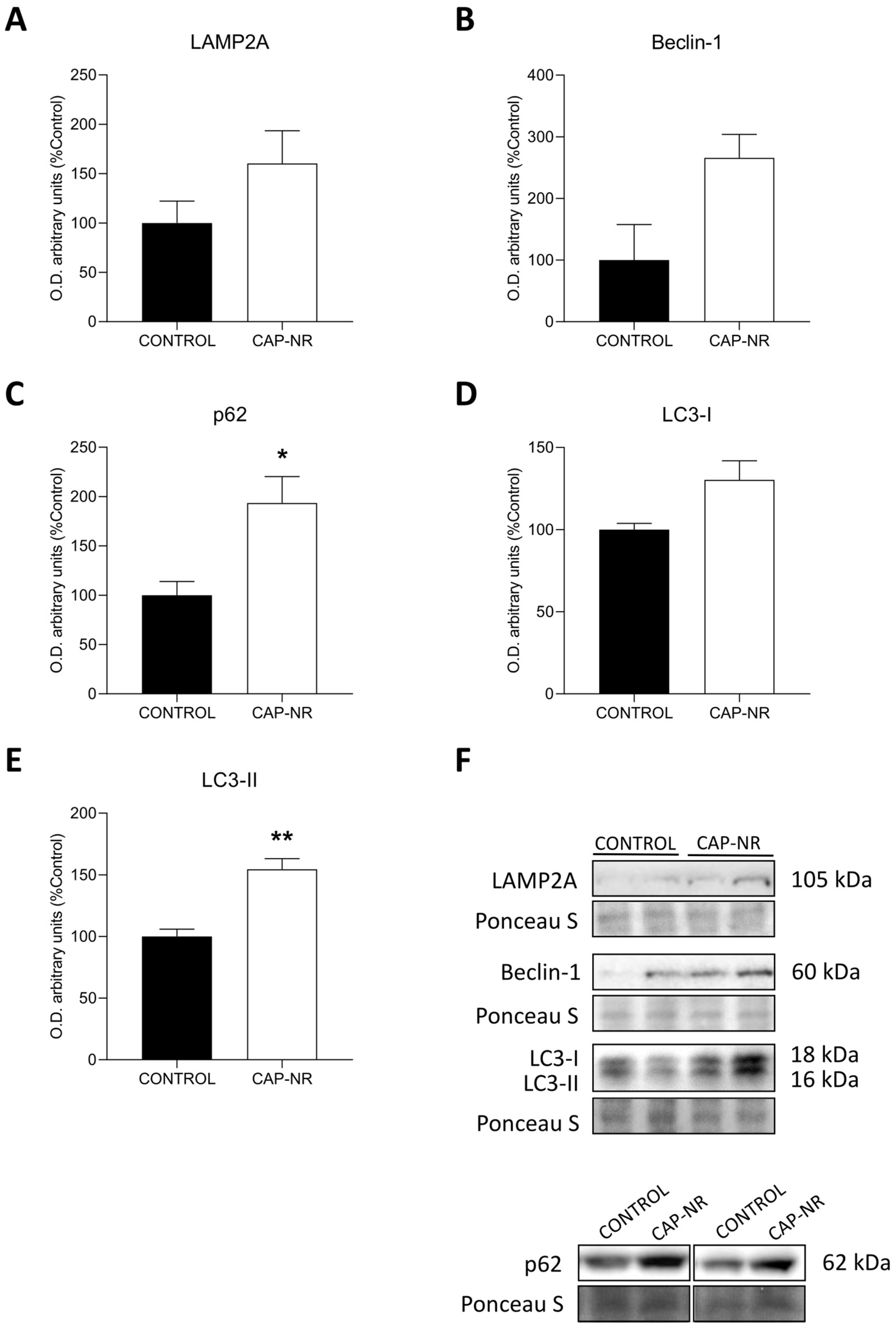 Ijms 25 12986 g006 Ijms 25 12986 g006