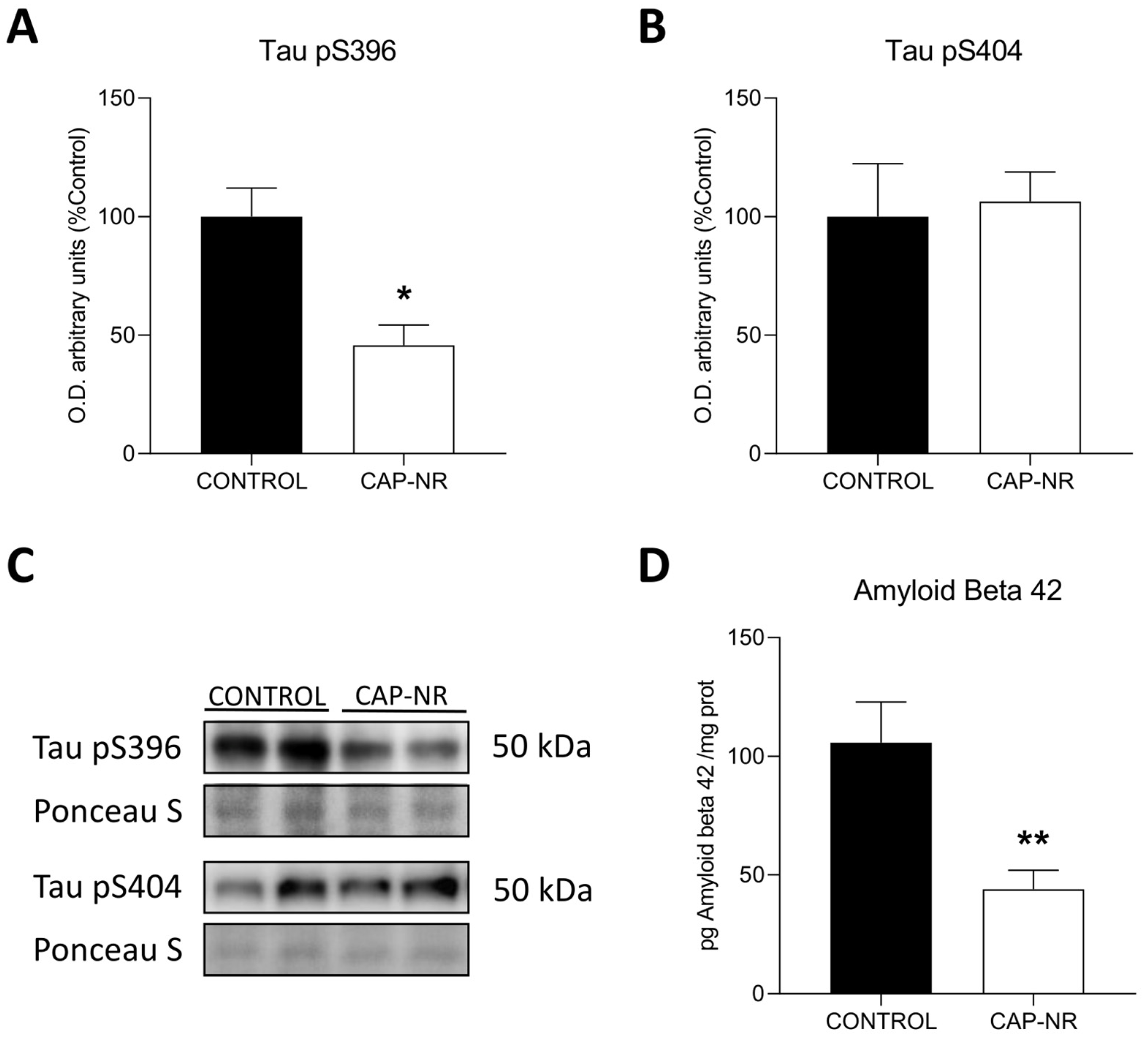 Ijms 25 12986 g007 Ijms 25 12986 g007