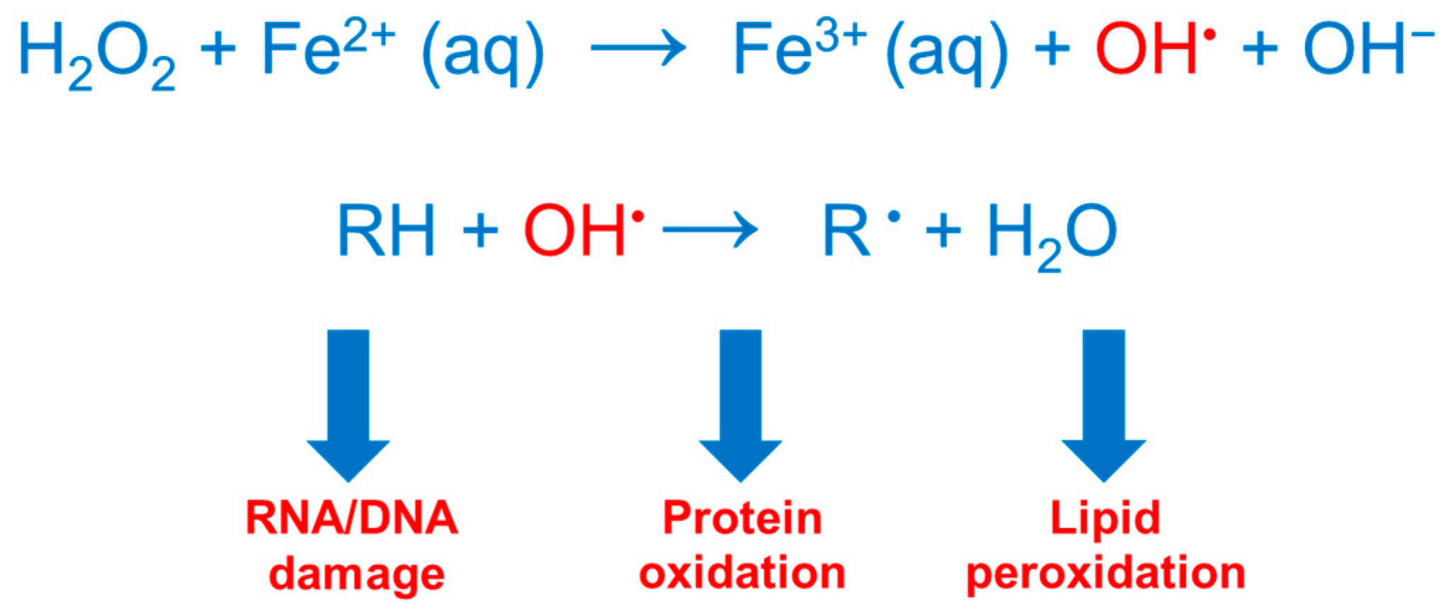 Ijms 25 12987 g001 Ijms 25 12987 g001