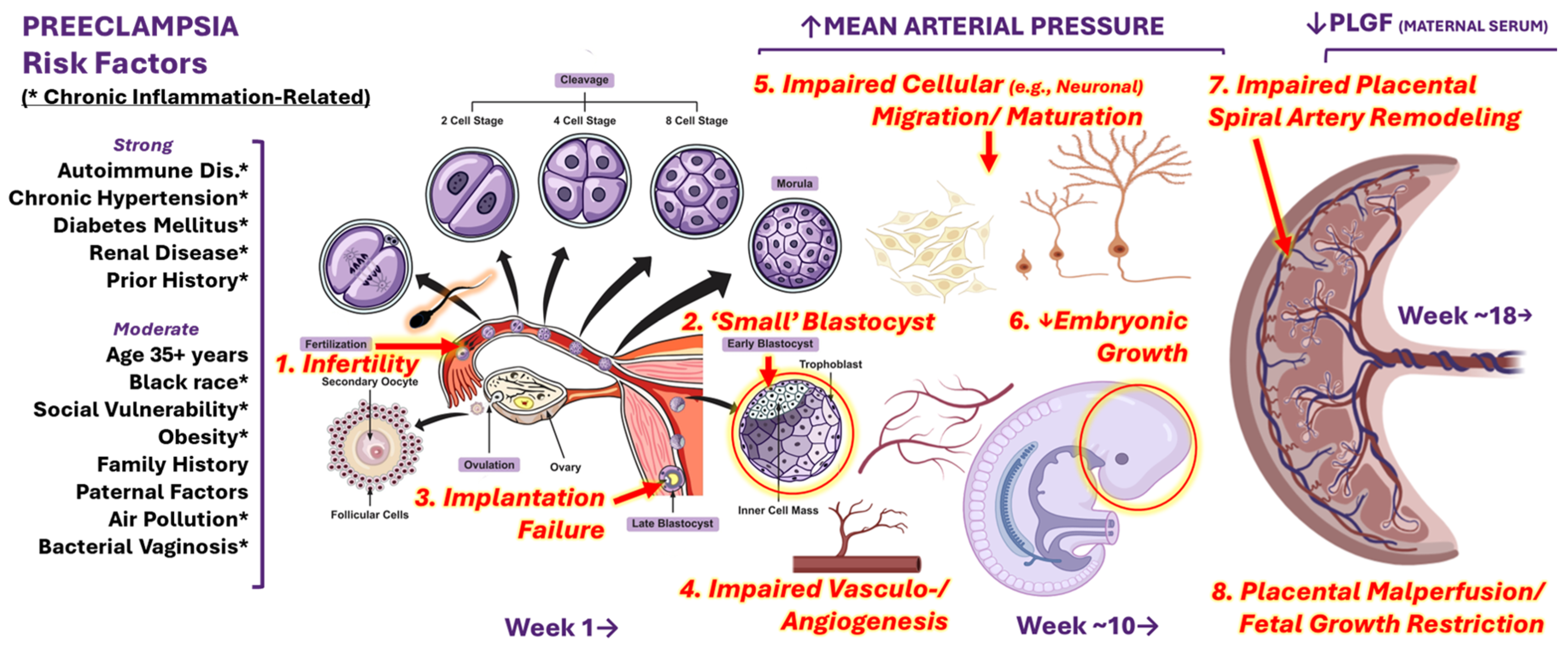 Ijms 25 12999 g001 Ijms 25 12999 g001