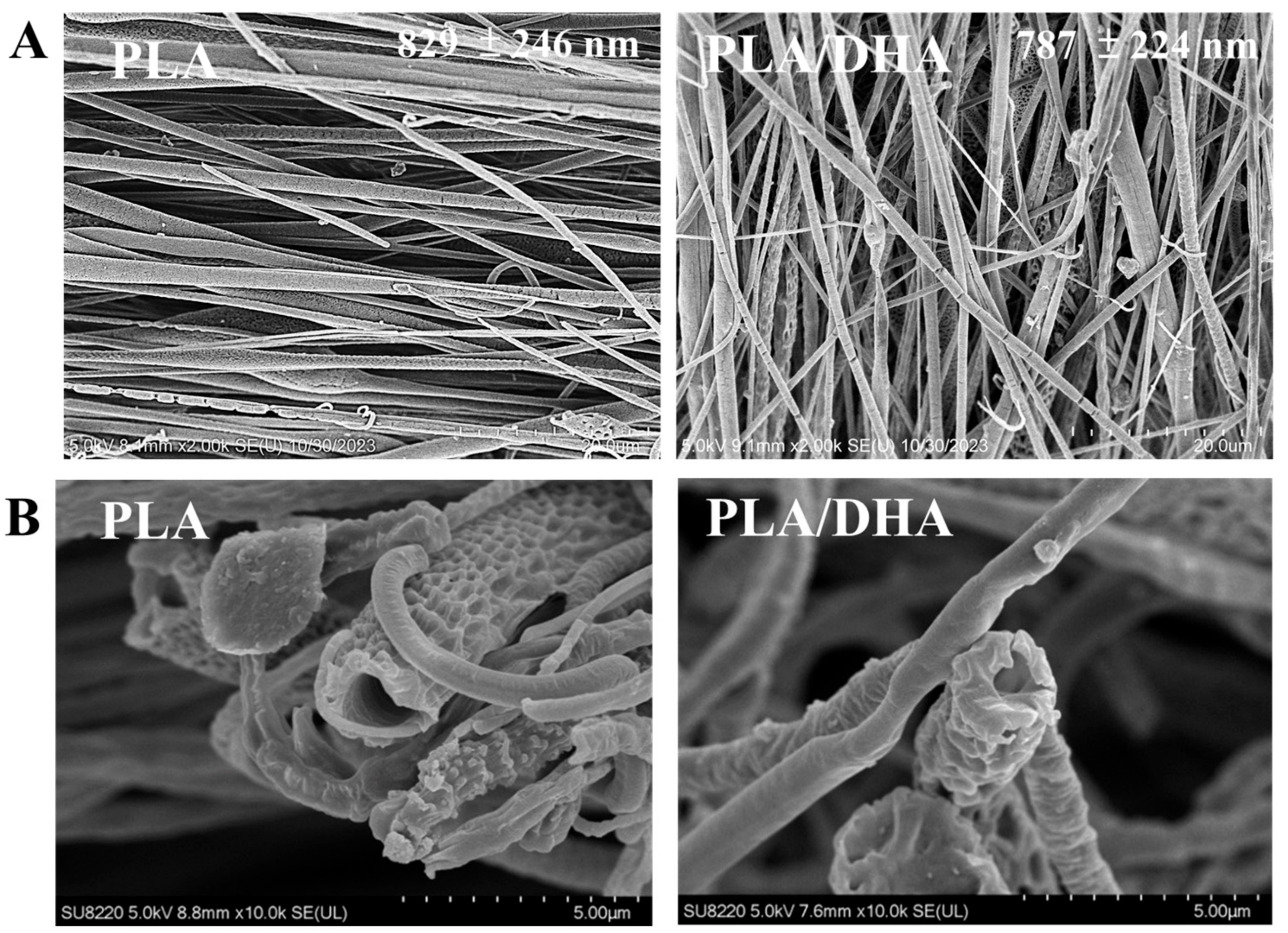 Ijms 25 13012 g001 Ijms 25 13012 g001