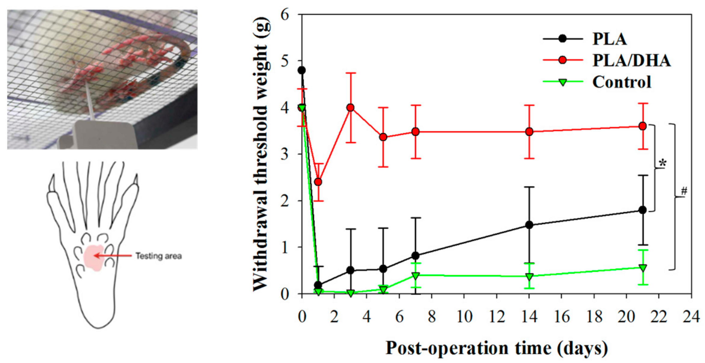 Ijms 25 13012 g008 Ijms 25 13012 g008