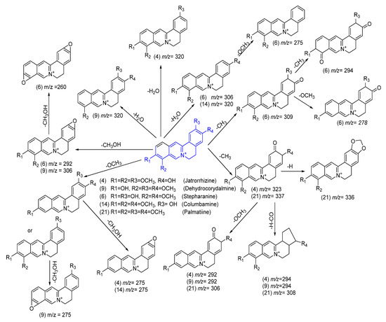 専用ページ　20箱 Frontiers | A CRISPR-Cas12a—Based platform for