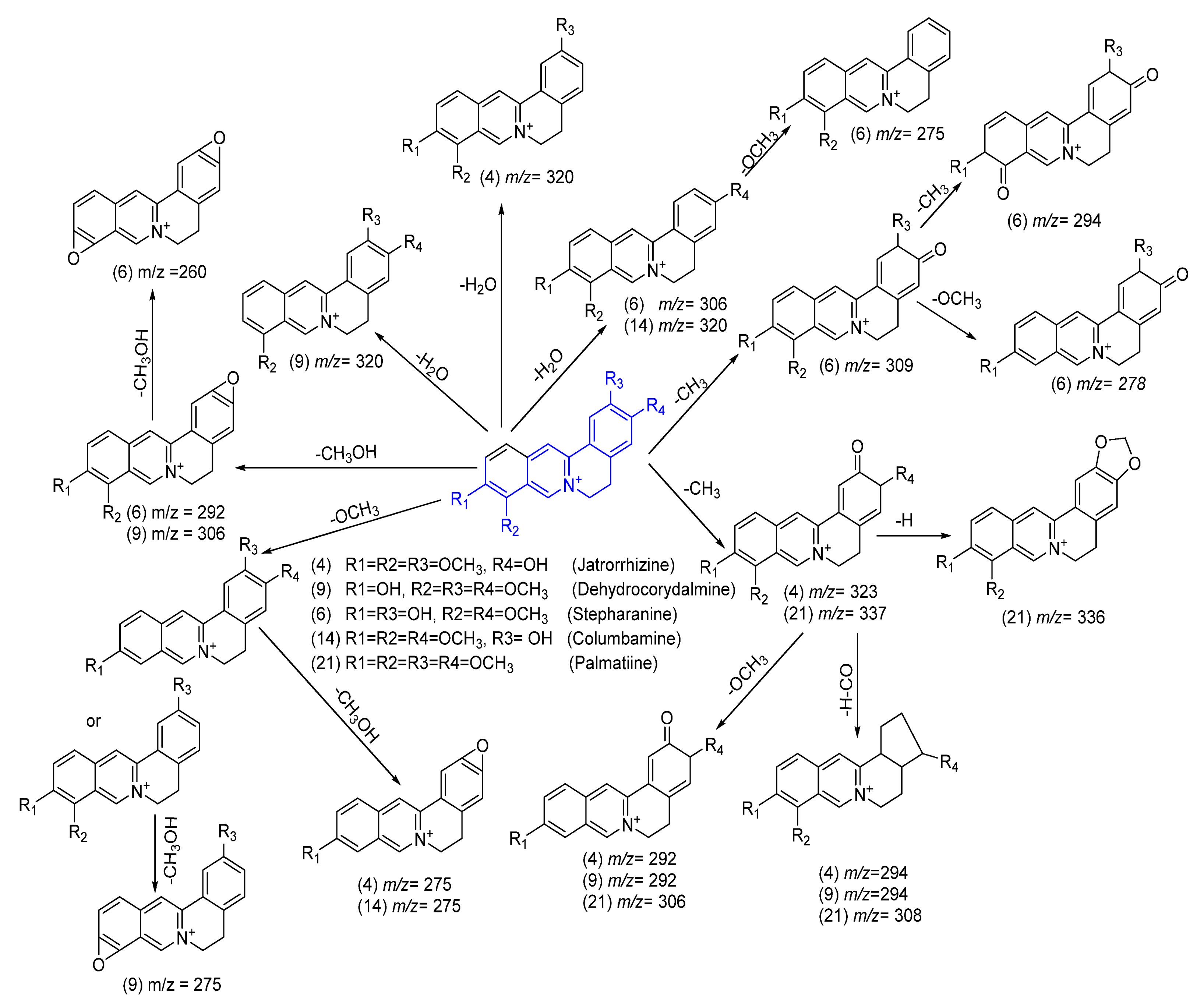 Ijms 25 13024 sch003