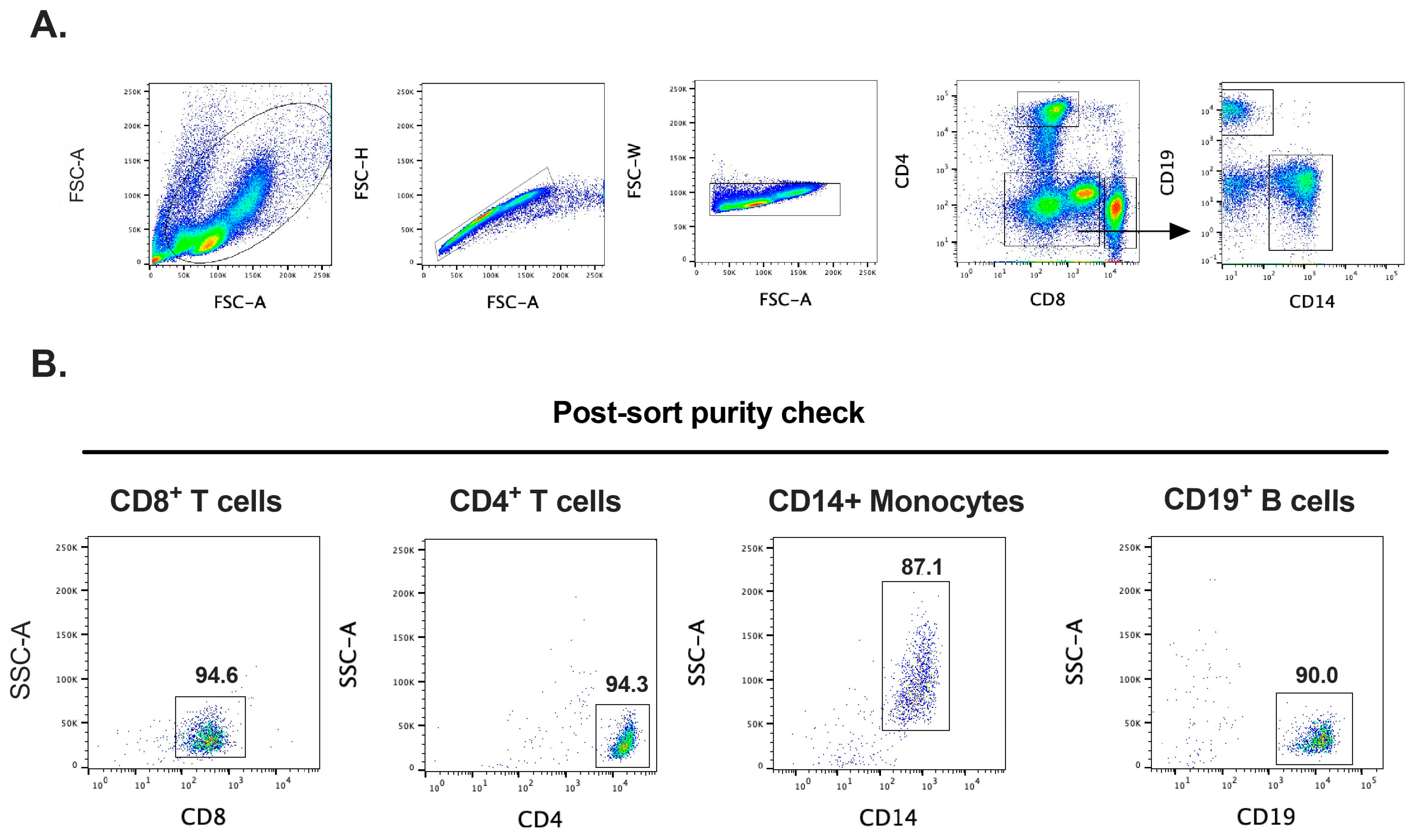 Ijms 25 13050 g001 Ijms 25 13050 g001
