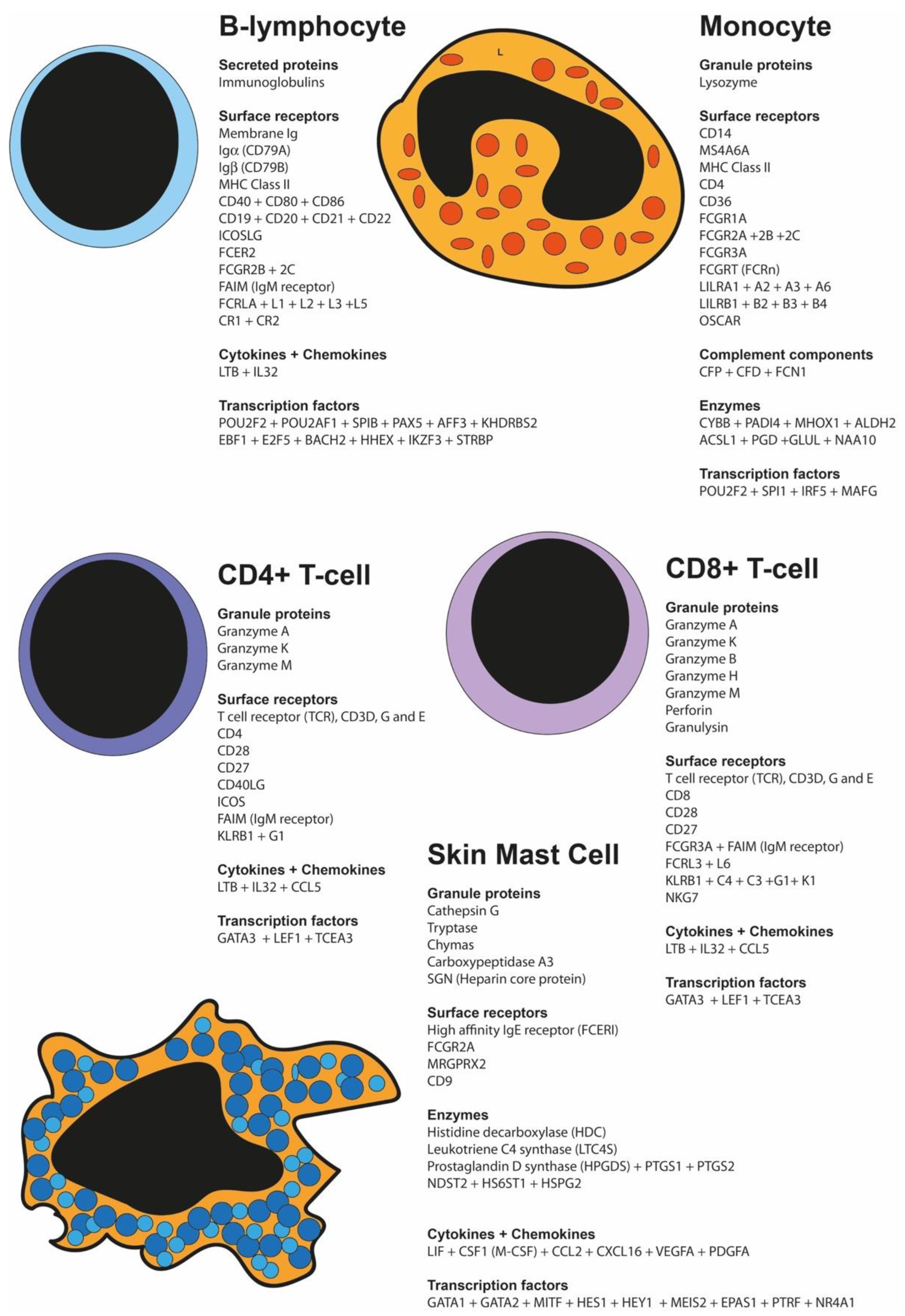 Ijms 25 13050 g002 Ijms 25 13050 g002