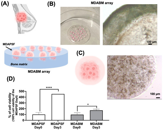 A 3D-Printable Cell Array for In Vitro Breast Cancer Modeling