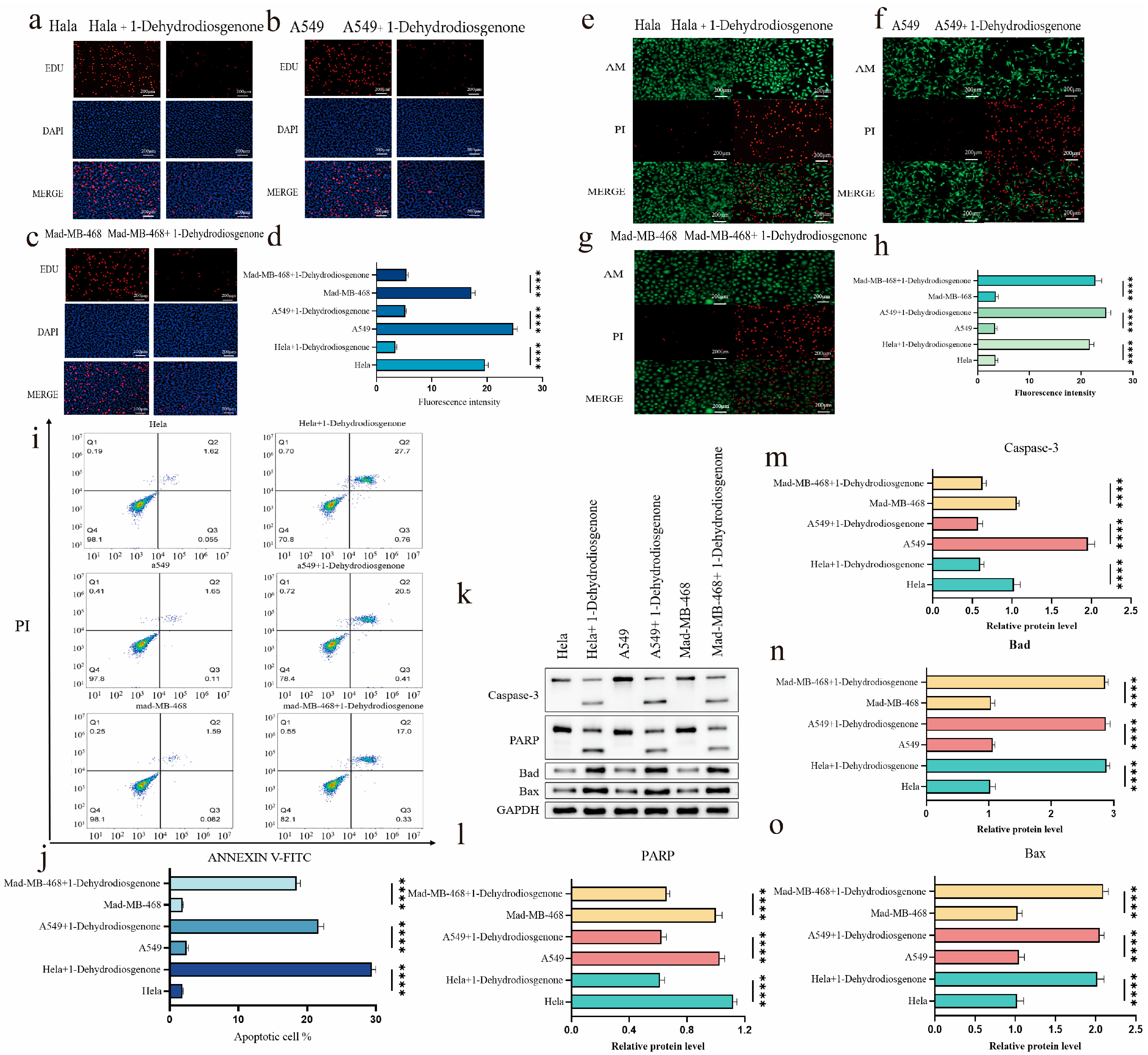 Ijms 25 13118 g004 Ijms 25 13118 g004
