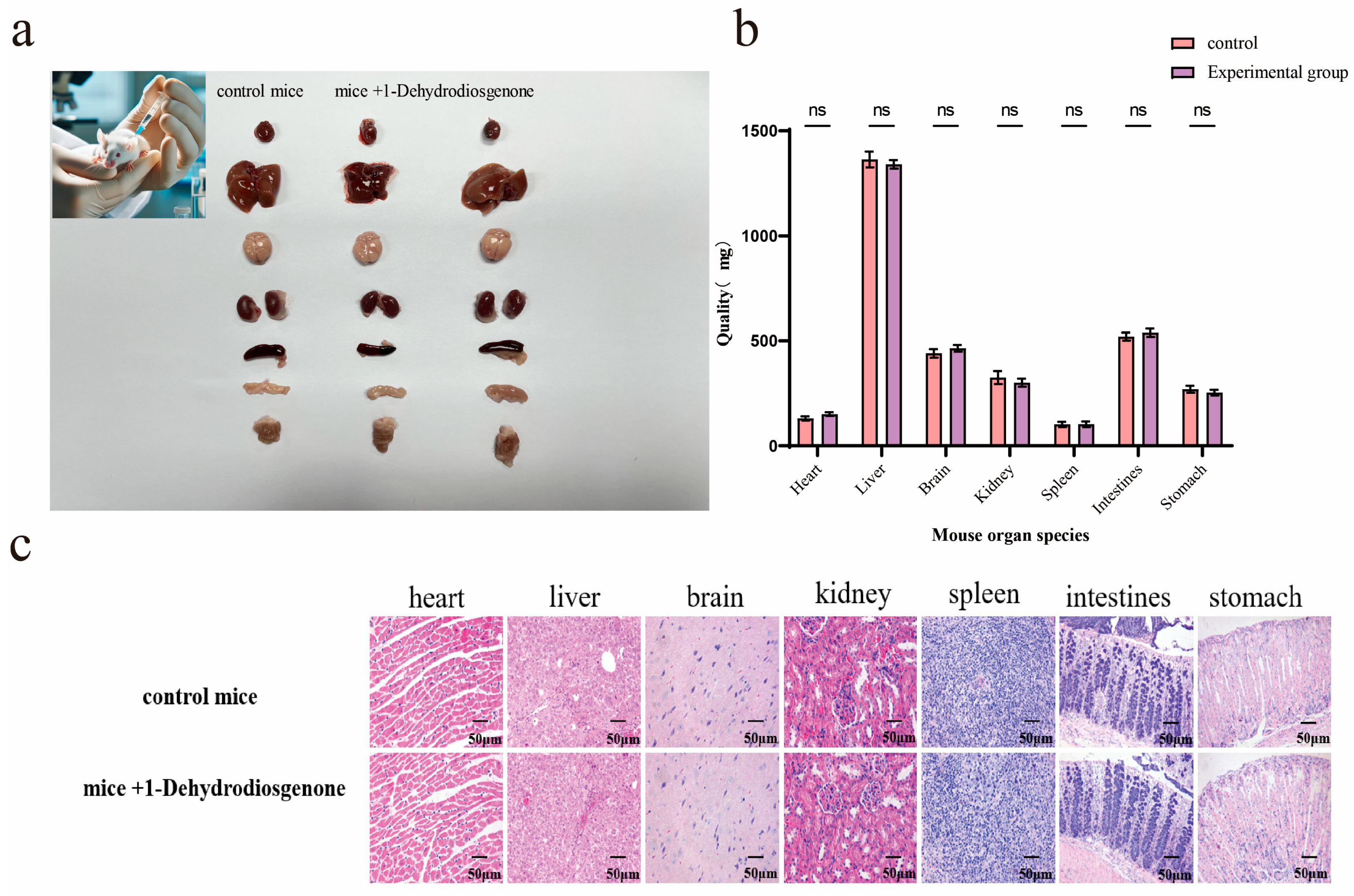 Ijms 25 13118 g005 Ijms 25 13118 g005