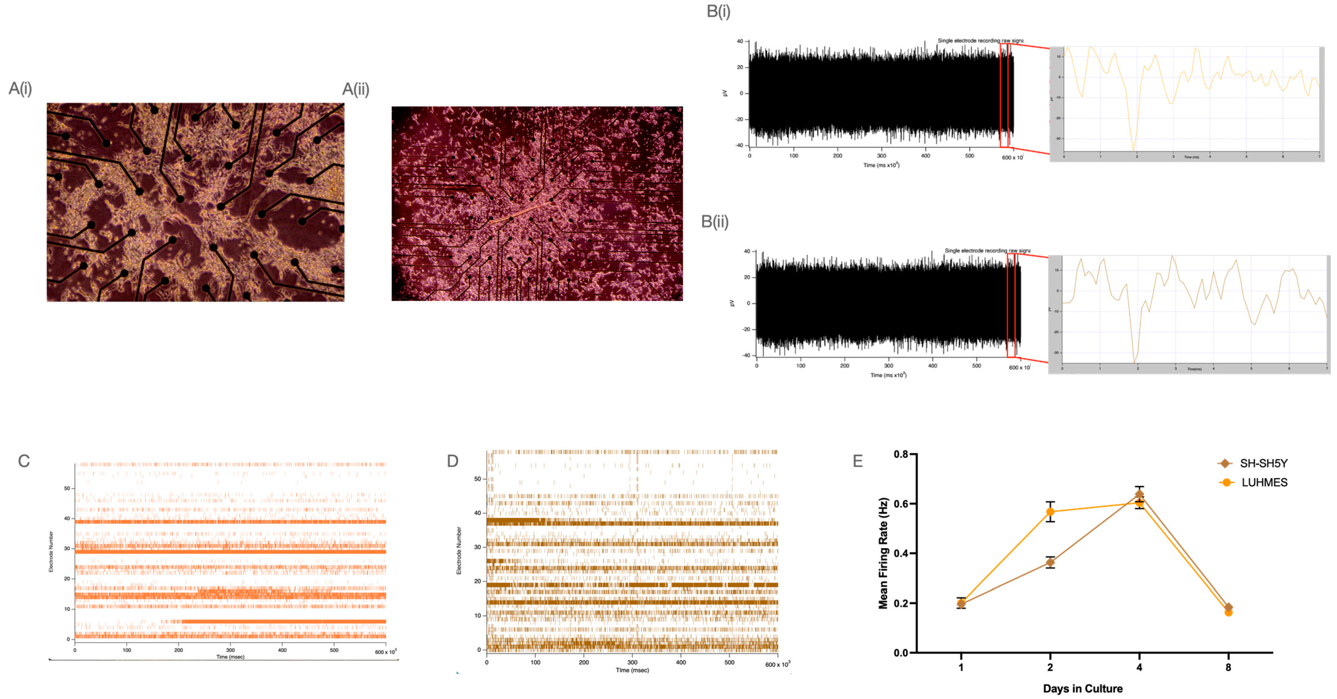 Ijms 25 13122 g004 Ijms 25 13122 g004