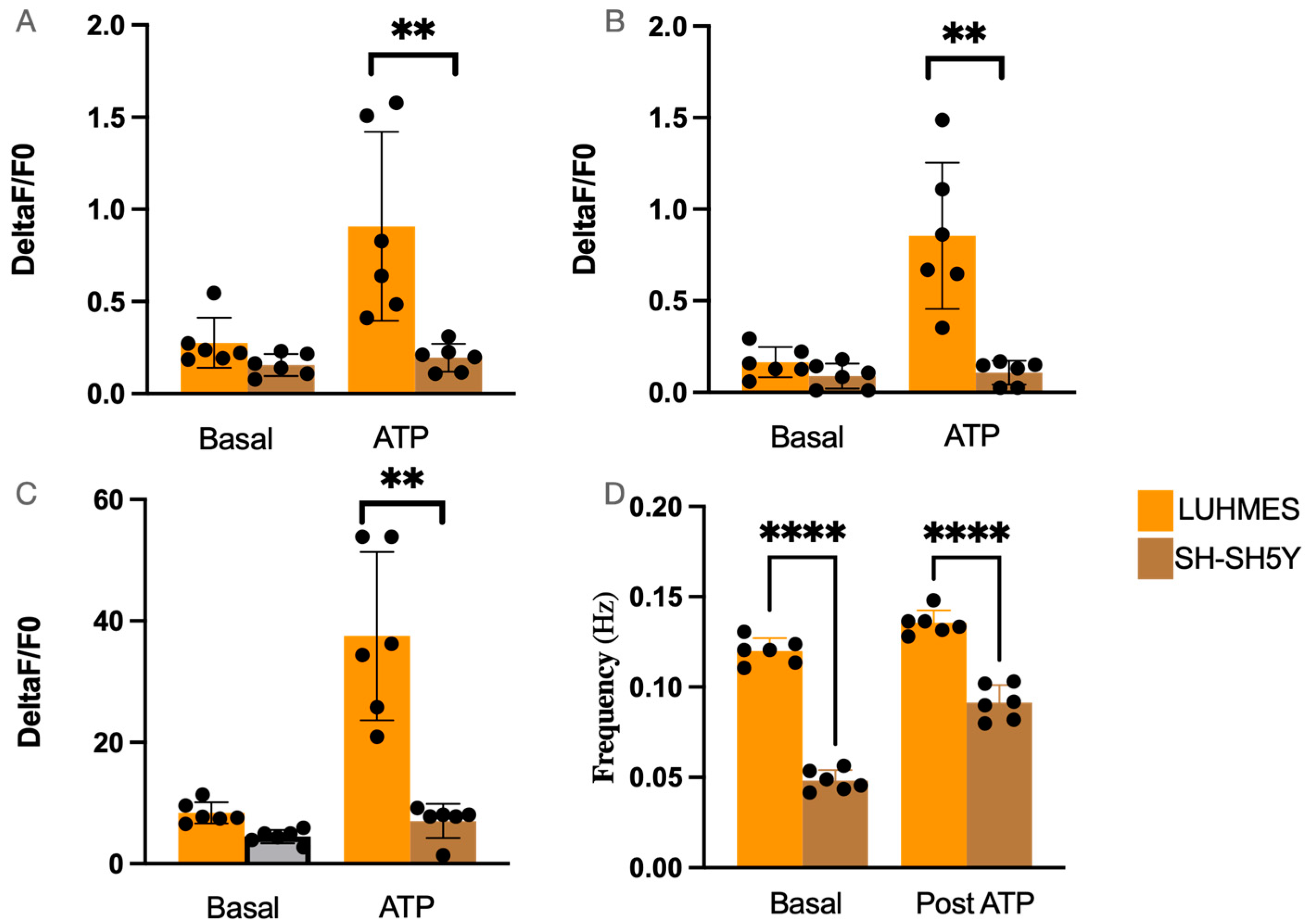 Ijms 25 13122 g007 Ijms 25 13122 g007