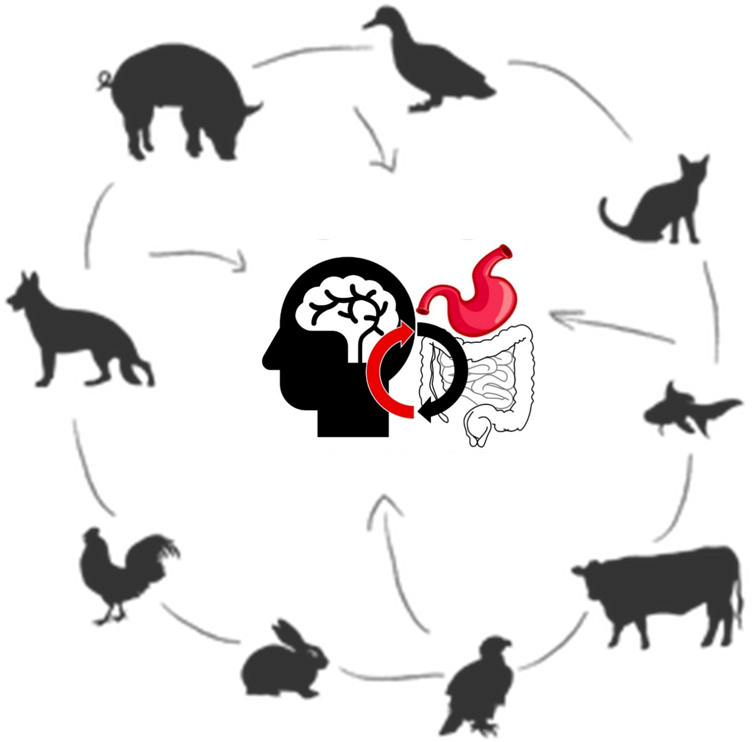 Ijms 25 13123 g003 Ijms 25 13123 g003