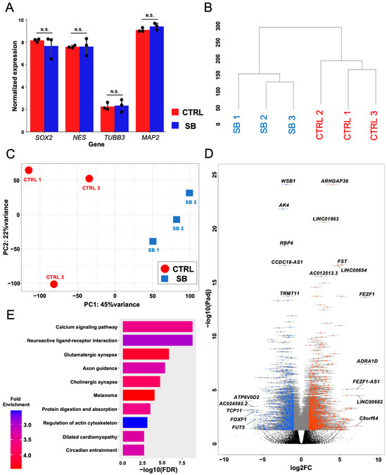 Comprehensive Gene Expression Analysis Using Human Induced Pluripotent ...