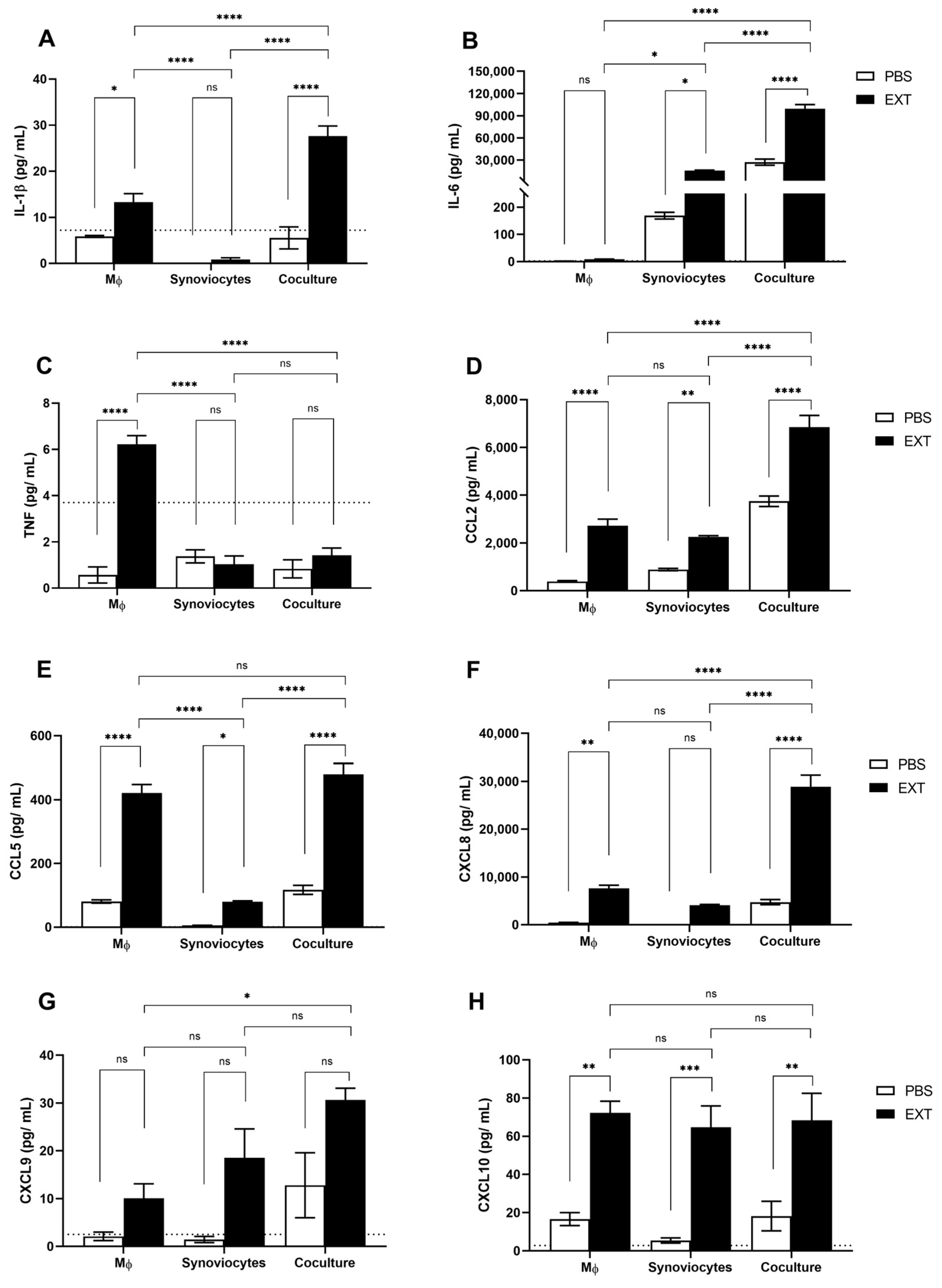 Ijms 25 13149 g003 Ijms 25 13149 g003
